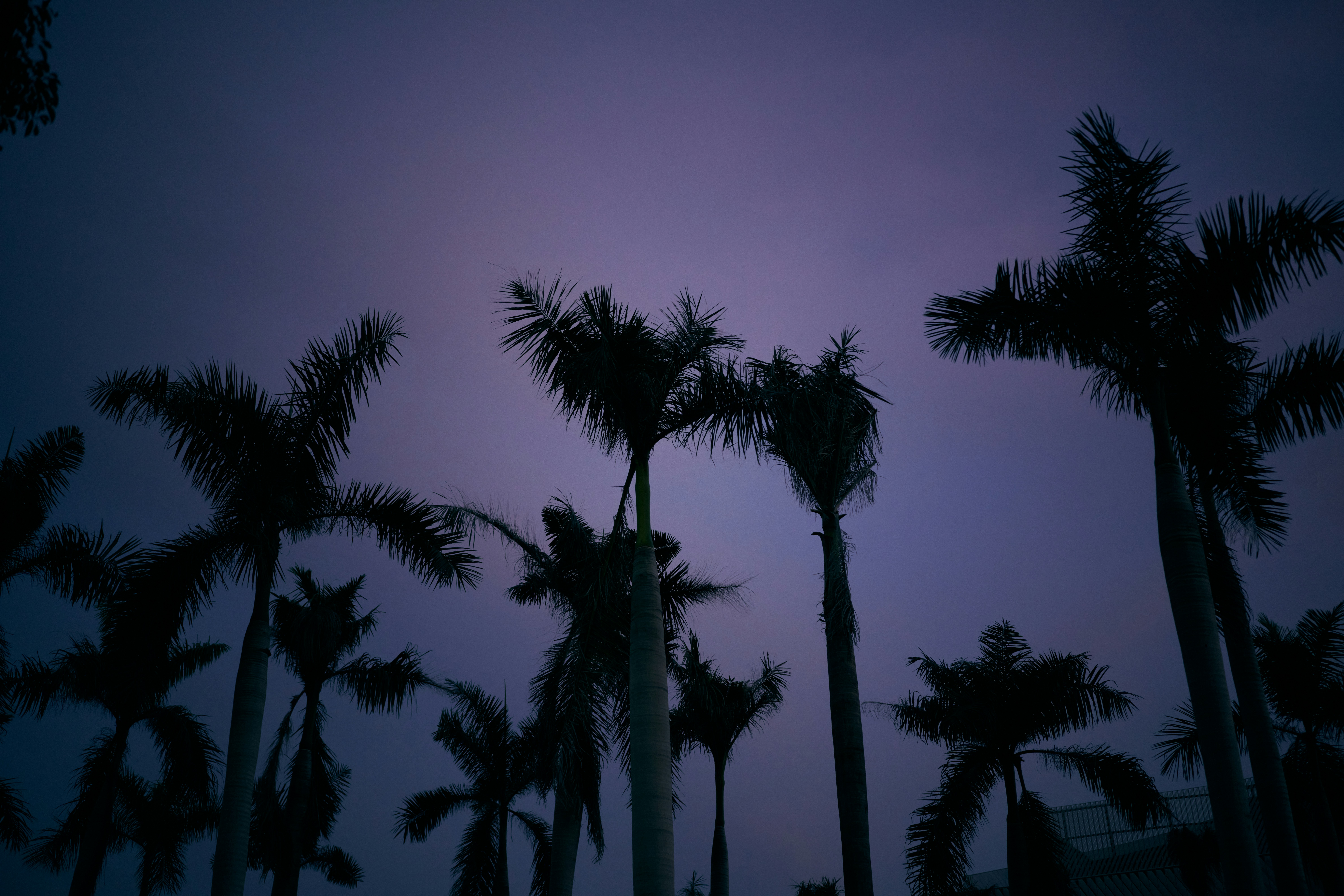 Hurricane Melissa Wreaks Havoc in the Caribbean