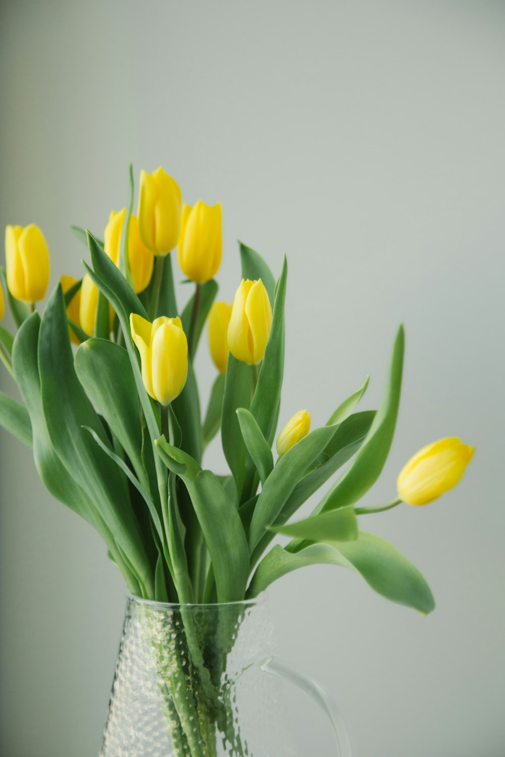 a vase filled with yellow flowers on top of a table