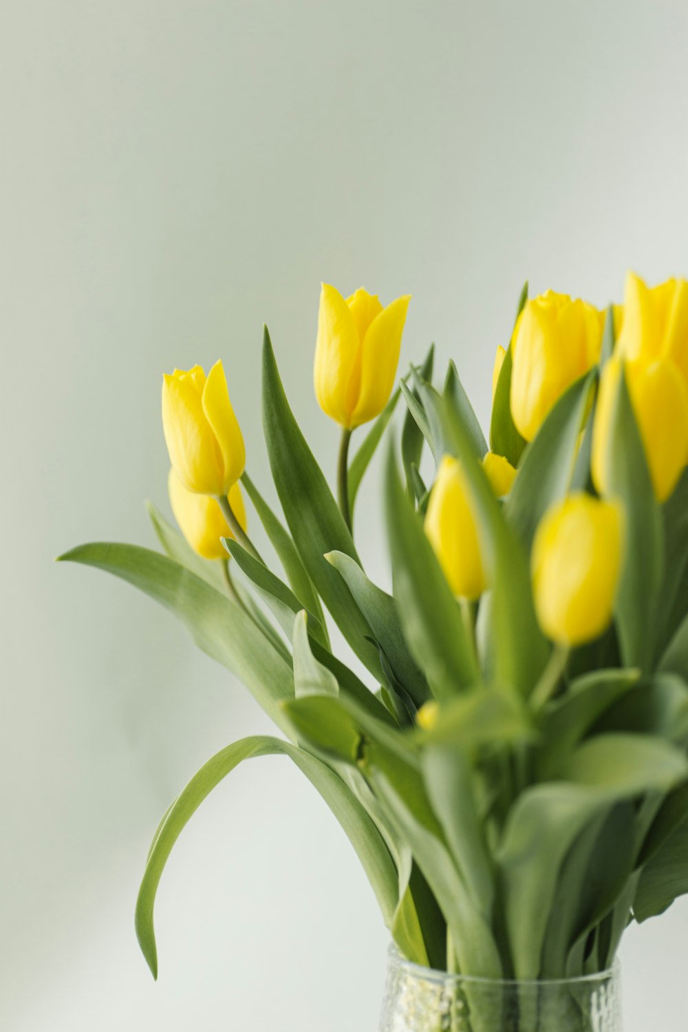 a vase filled with yellow flowers on top of a table