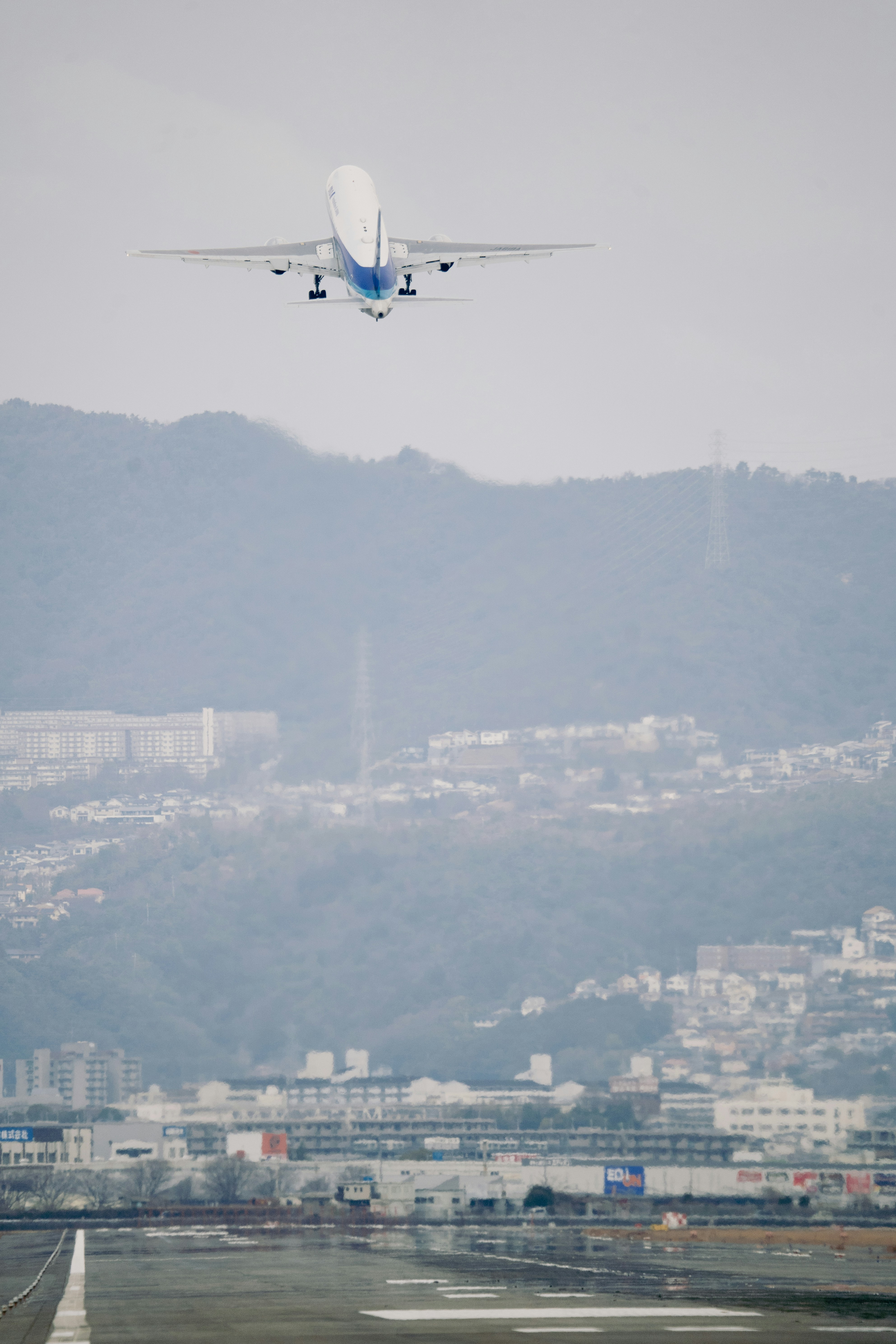 应对策略与合规建议