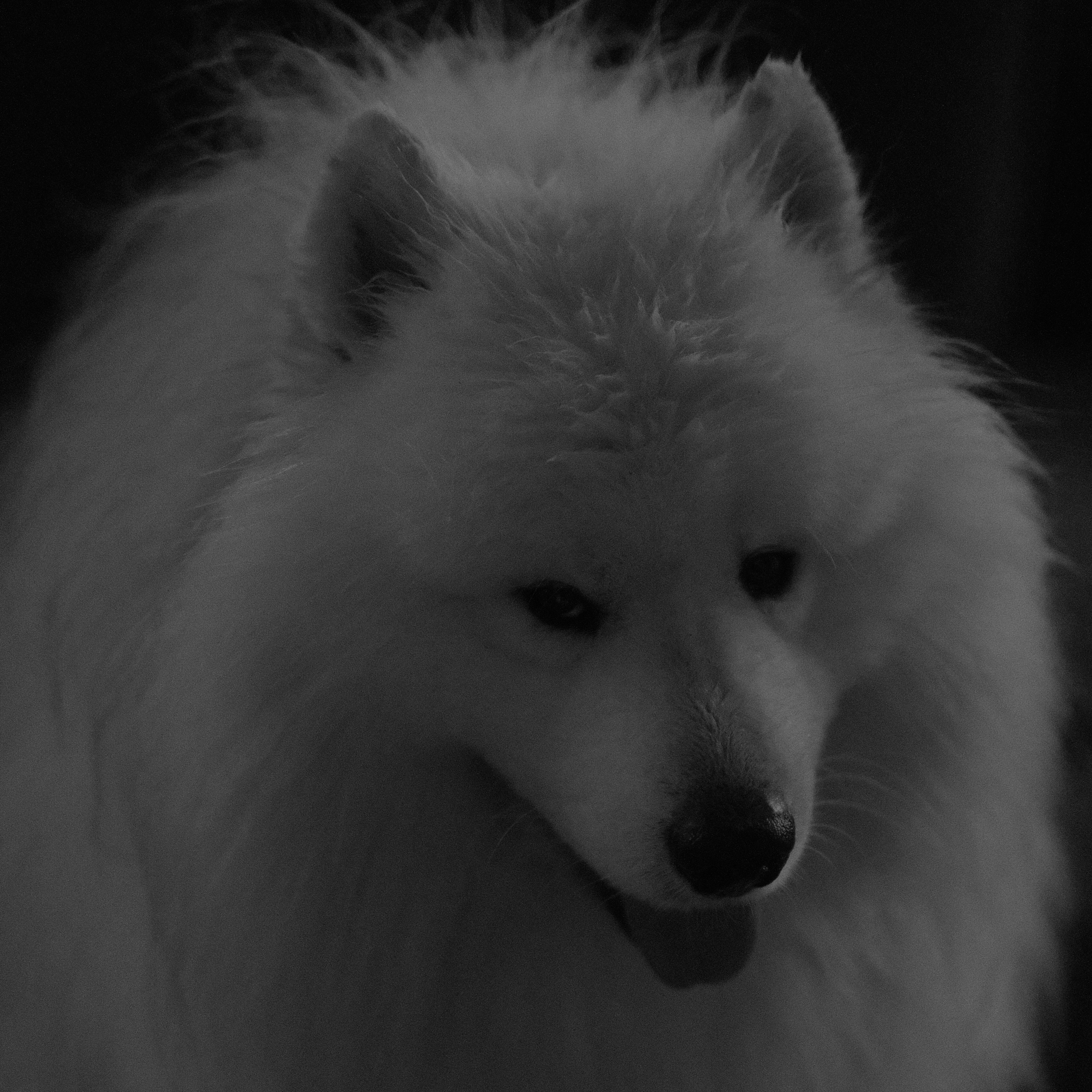 Photo by haberdoedas2