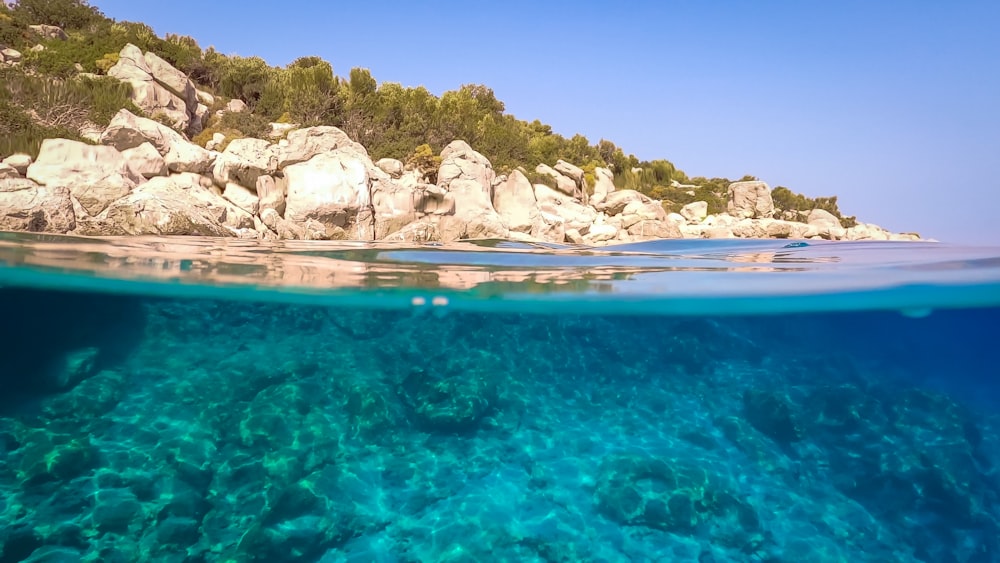 a body of water with rocks and trees in the background