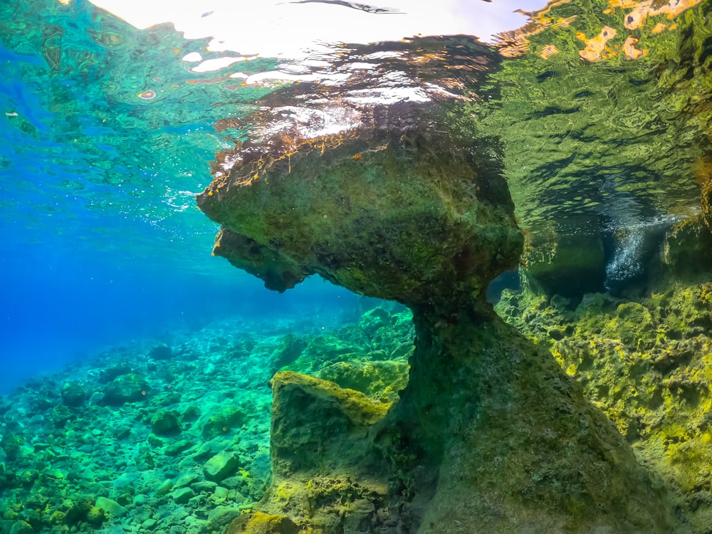 the underwater view of a rock formation in the ocean