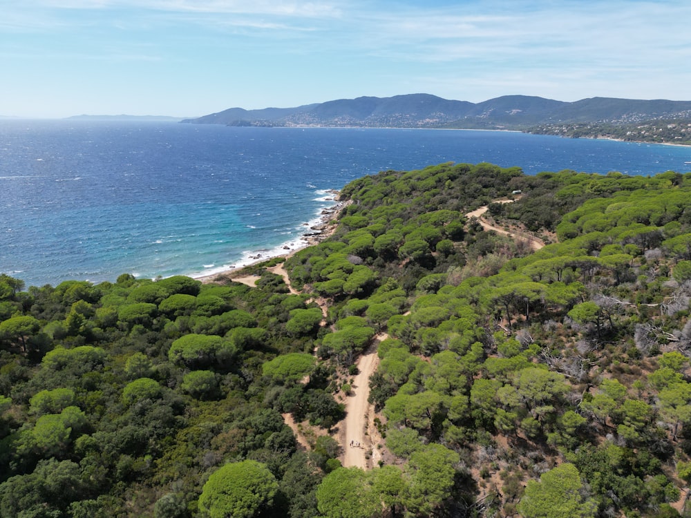 an aerial view of a beach and trees