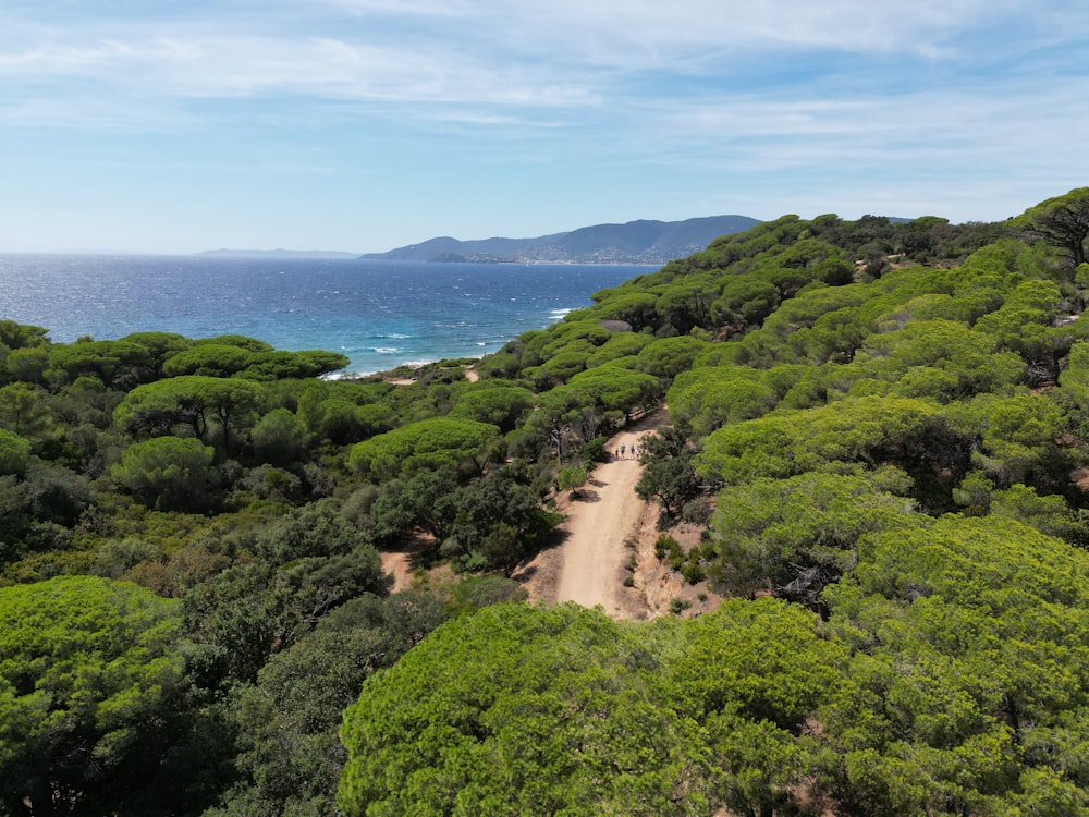 an aerial view of a dirt road surrounded by trees