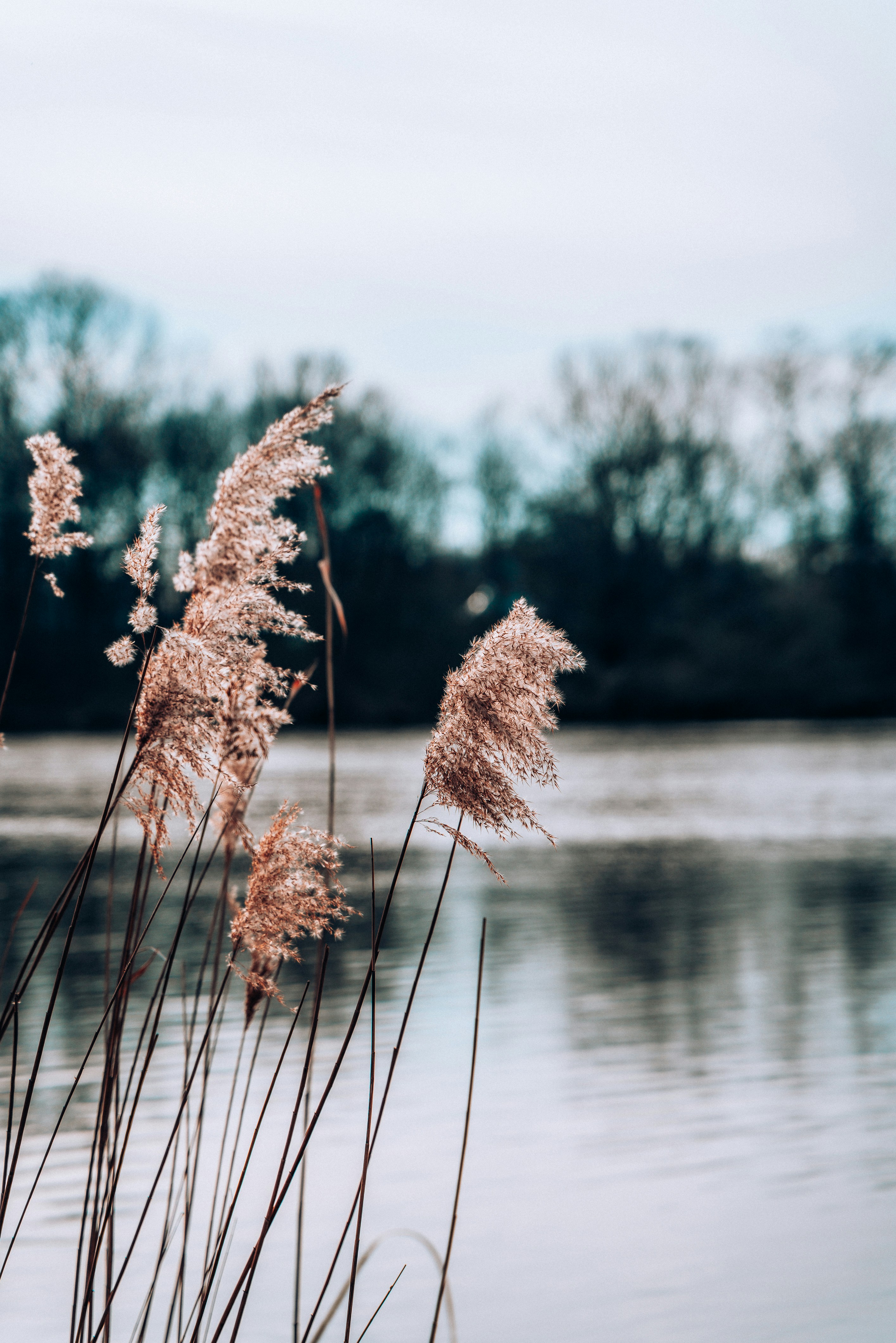 Photo by jerrografie