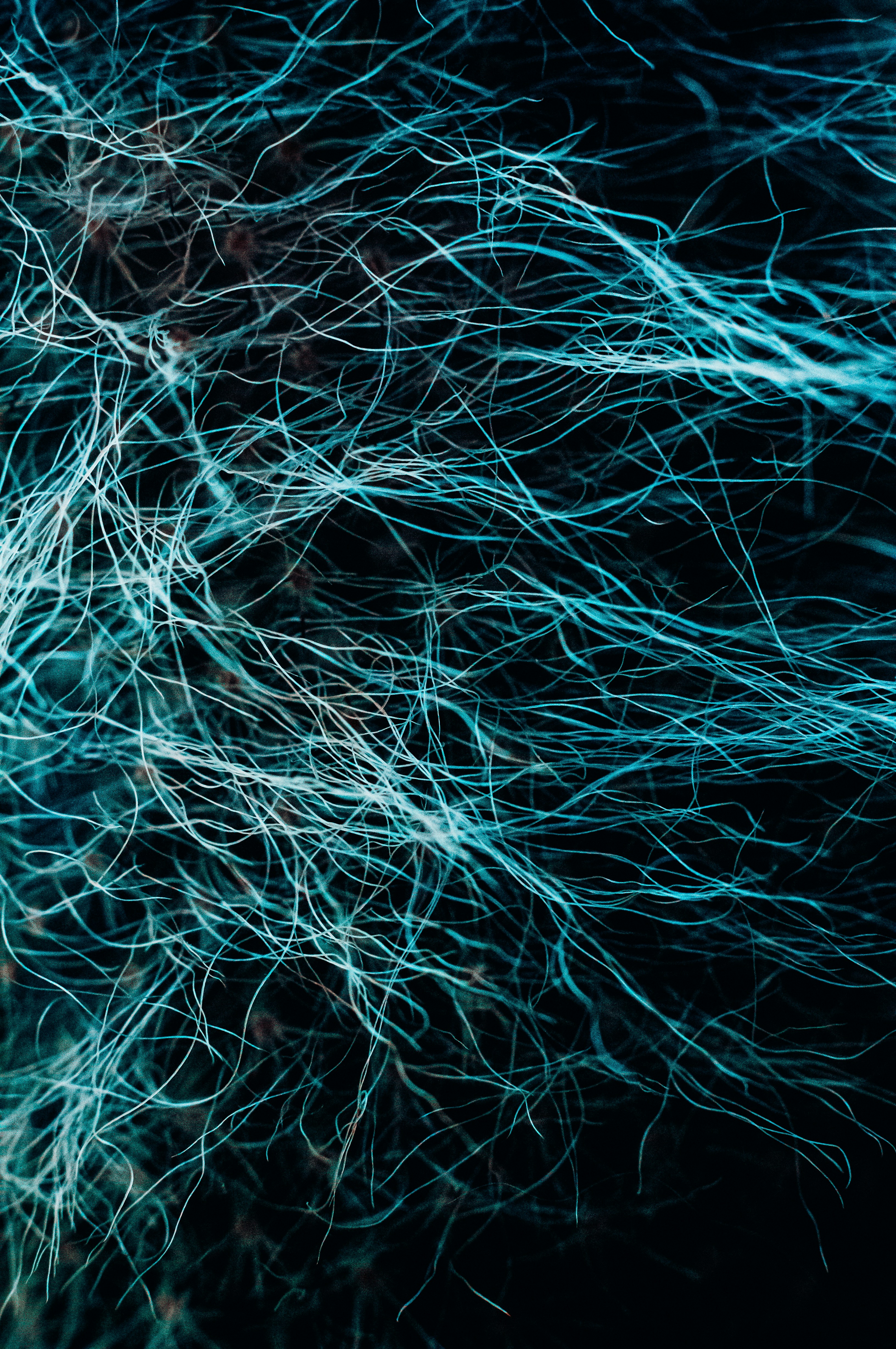 Photo by jerrografie