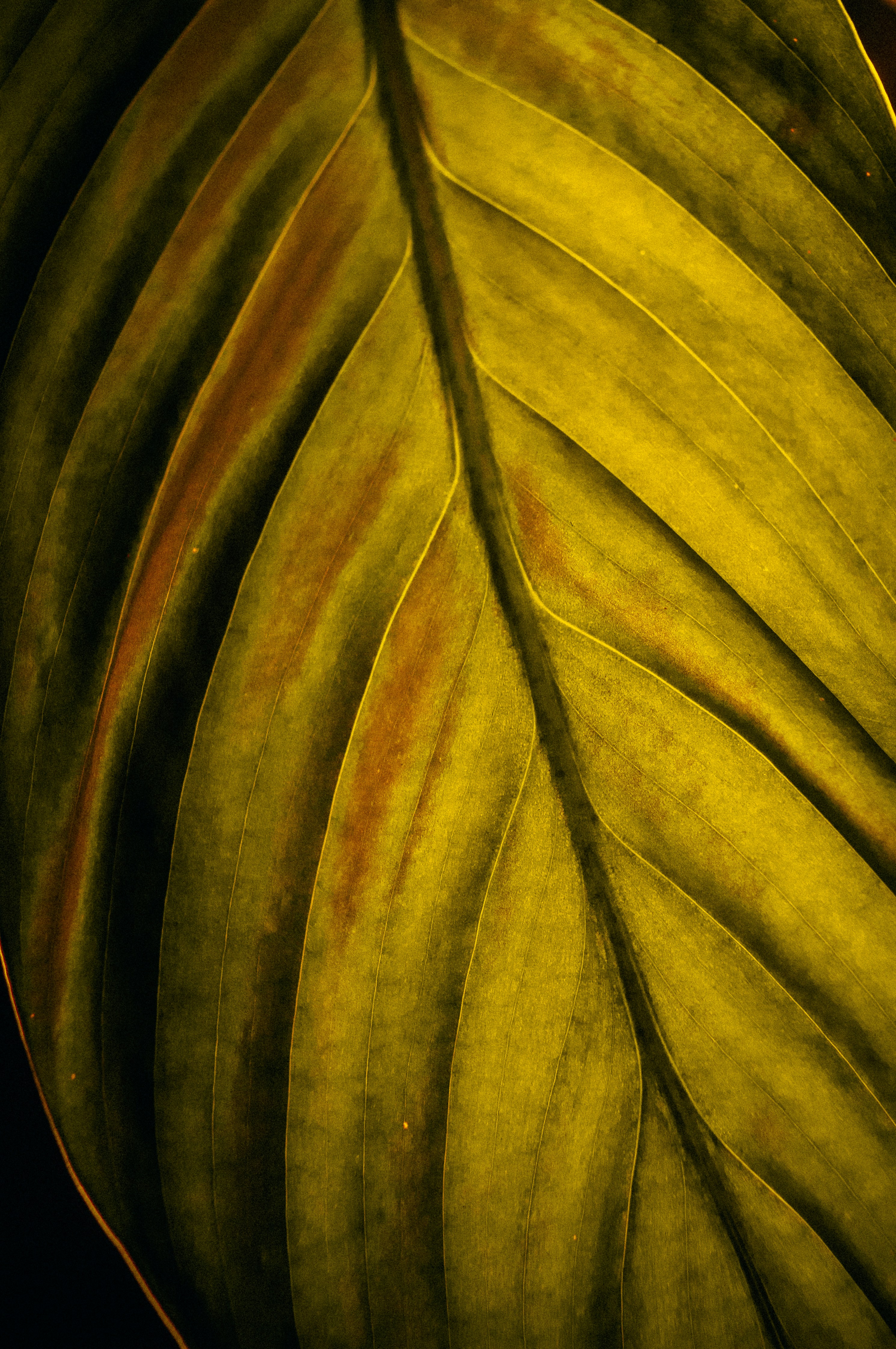 Photo by jerrografie