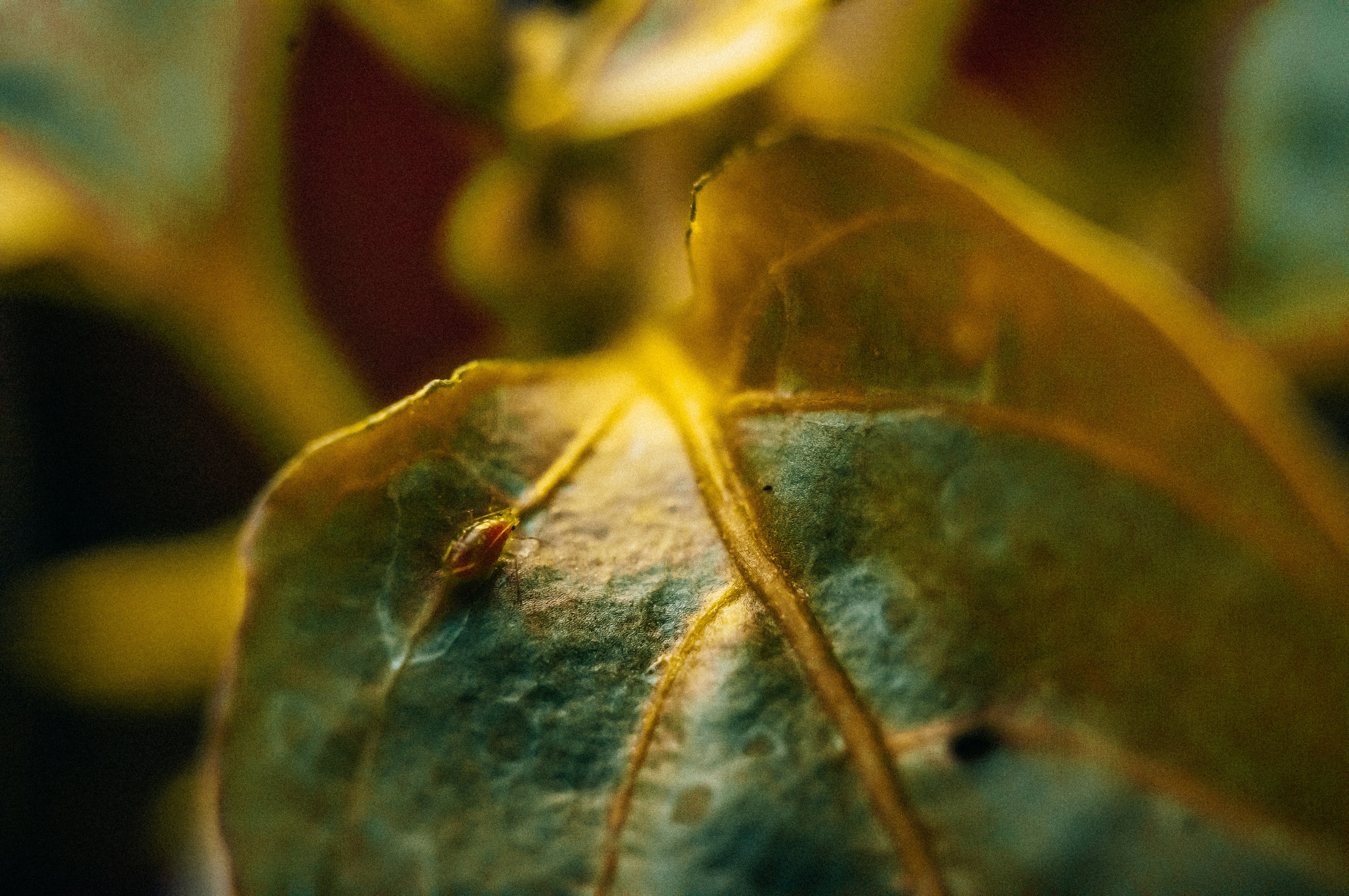 Photo by jerrografie