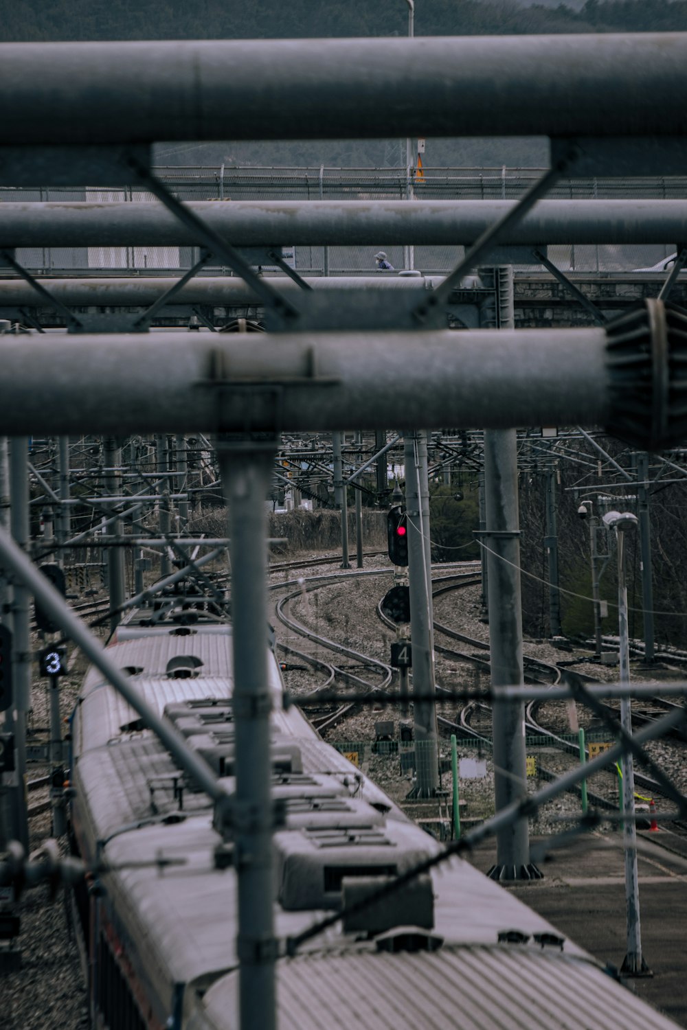 a train traveling down train tracks next to a forest