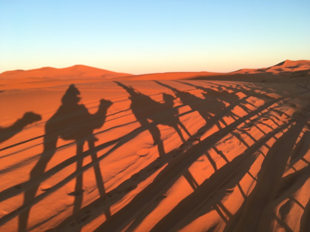 a group of people riding camels across a desert