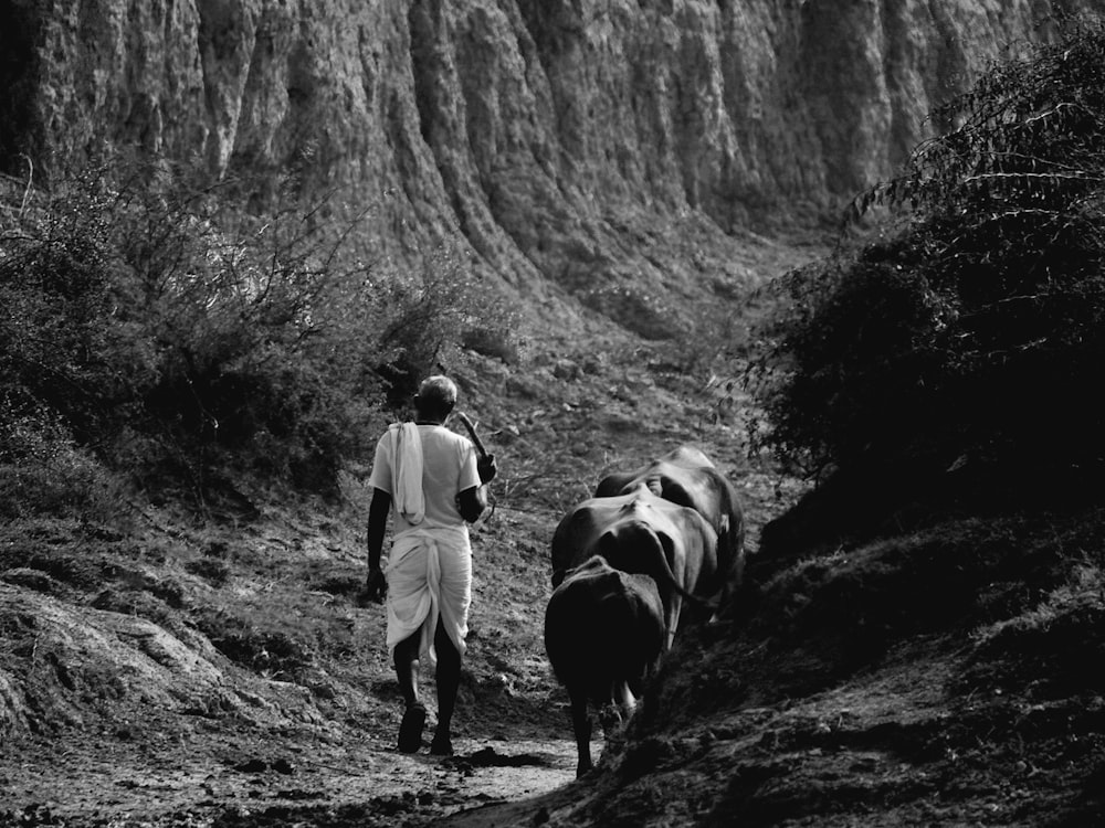 une photo en noir et blanc d’un homme et d’une vache