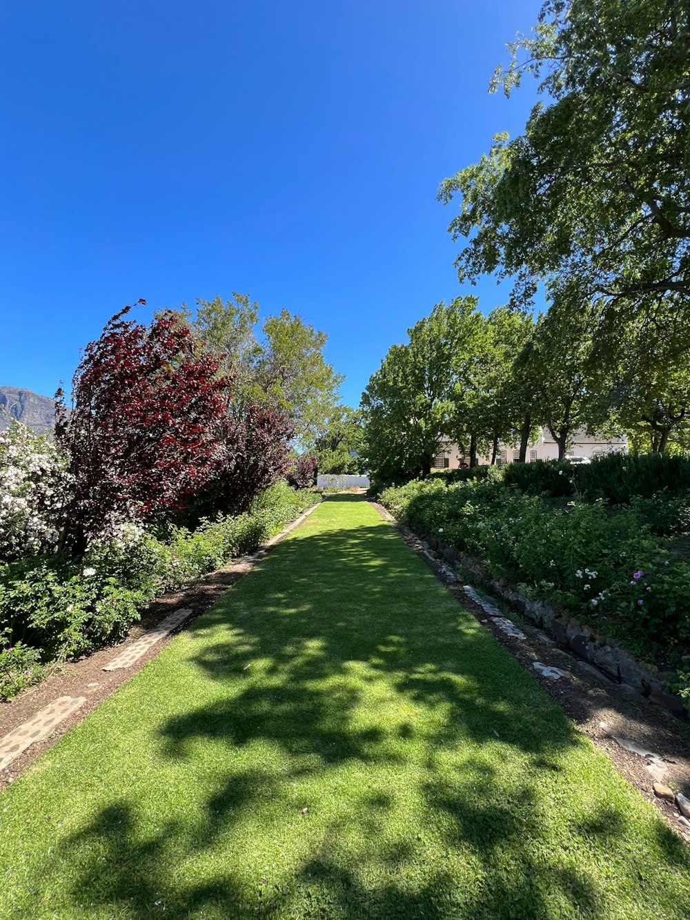 a lush green field with trees and bushes