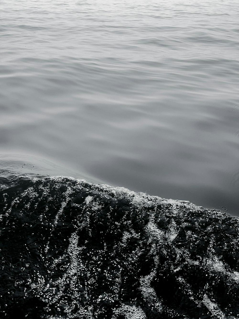 Una foto en blanco y negro de una ola en el agua