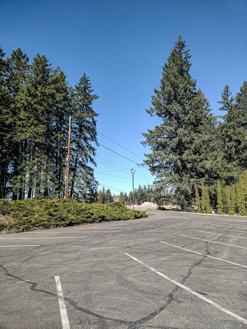 an empty parking lot with trees in the background