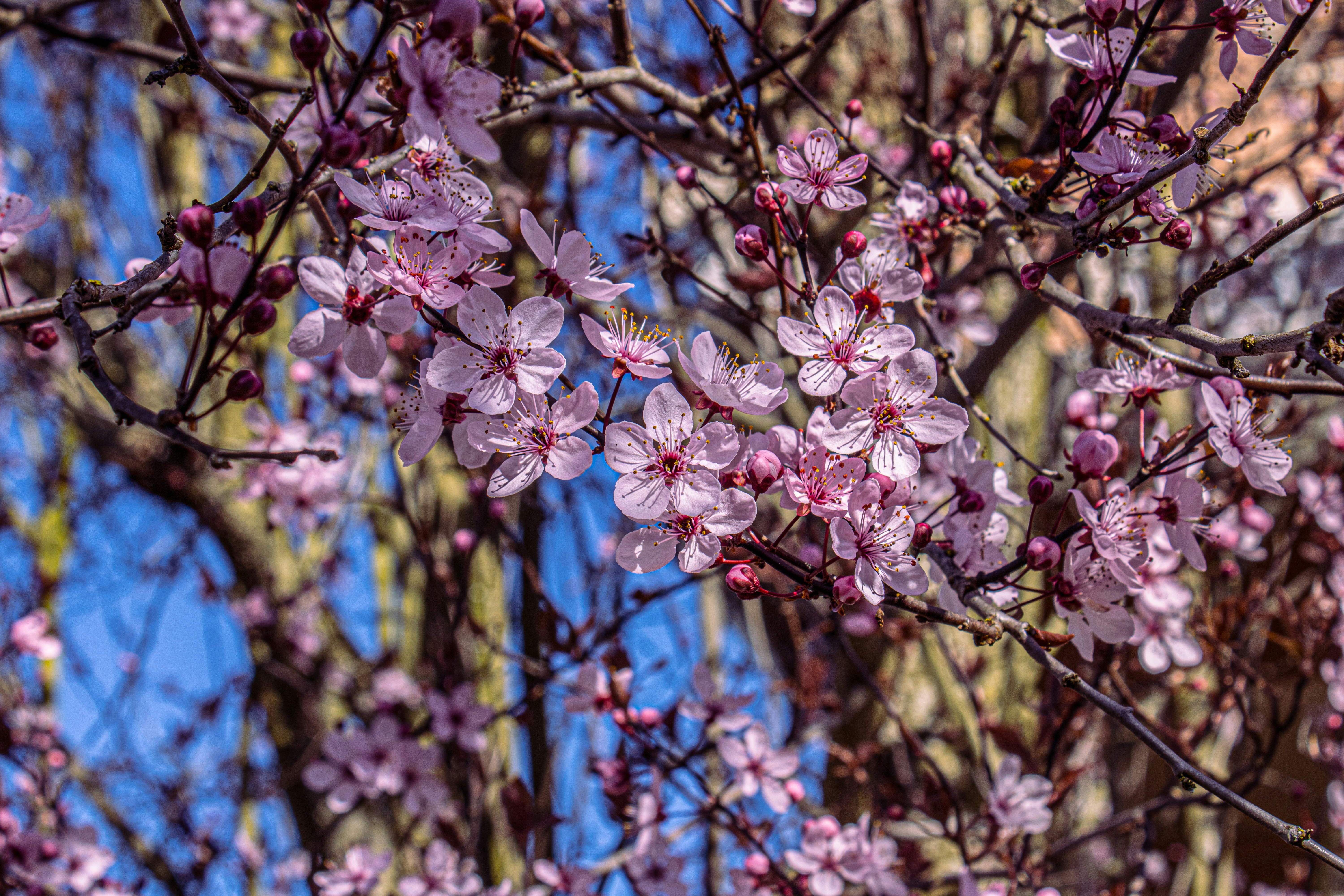 Photo by prphotography262