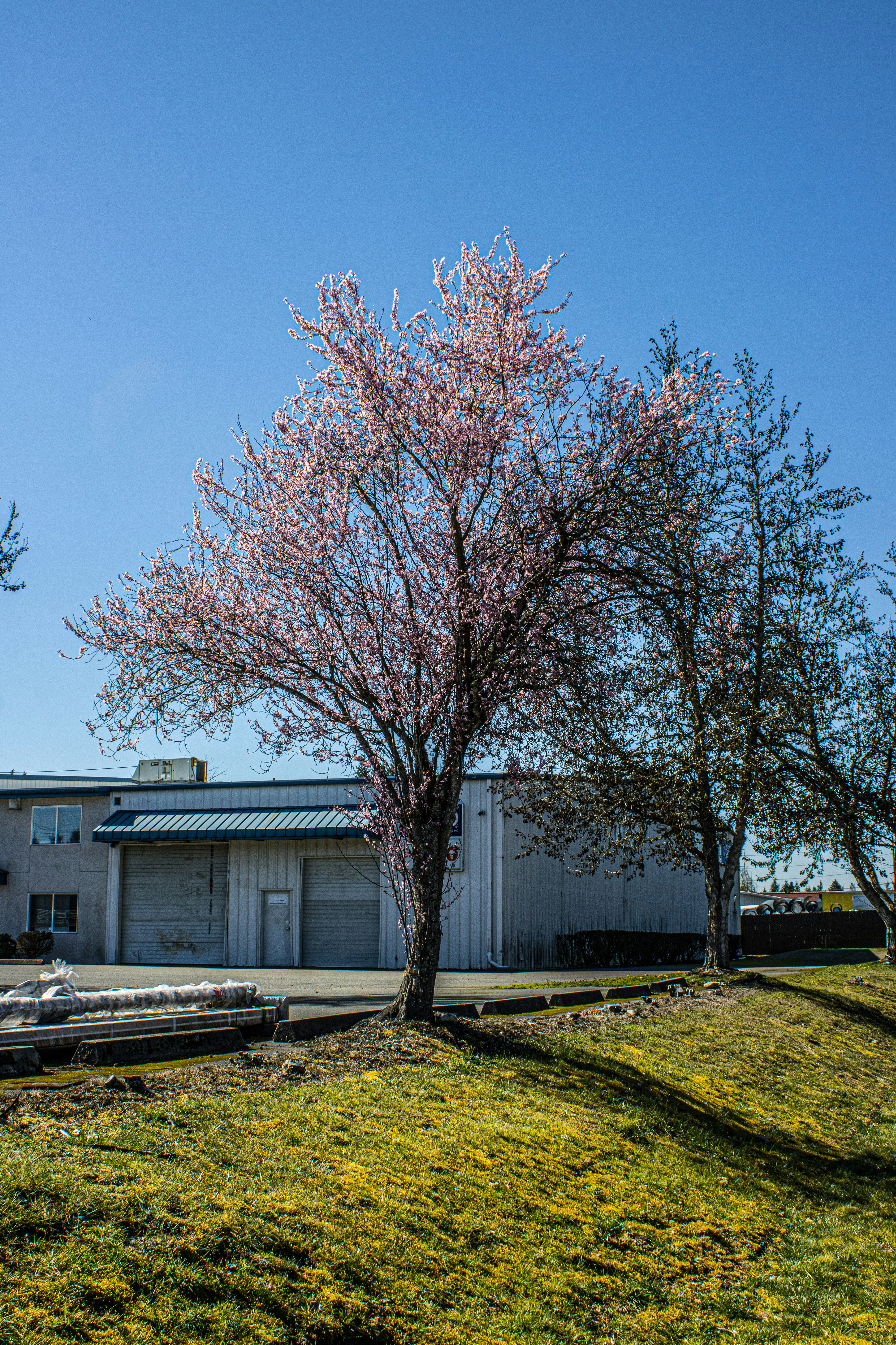 Photo by prphotography262