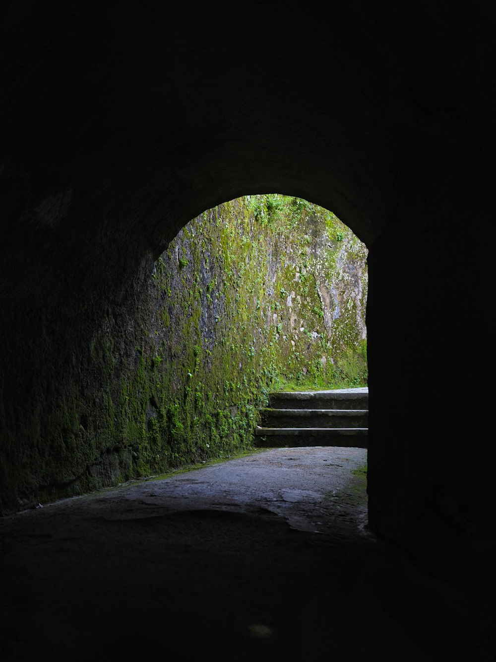 a dark tunnel with moss growing on the walls