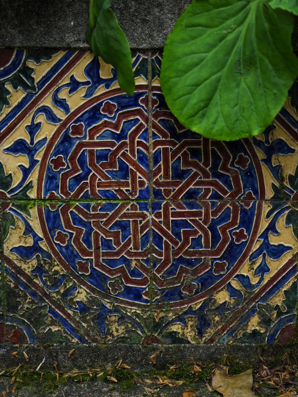 a close up of a tiled wall with a plant