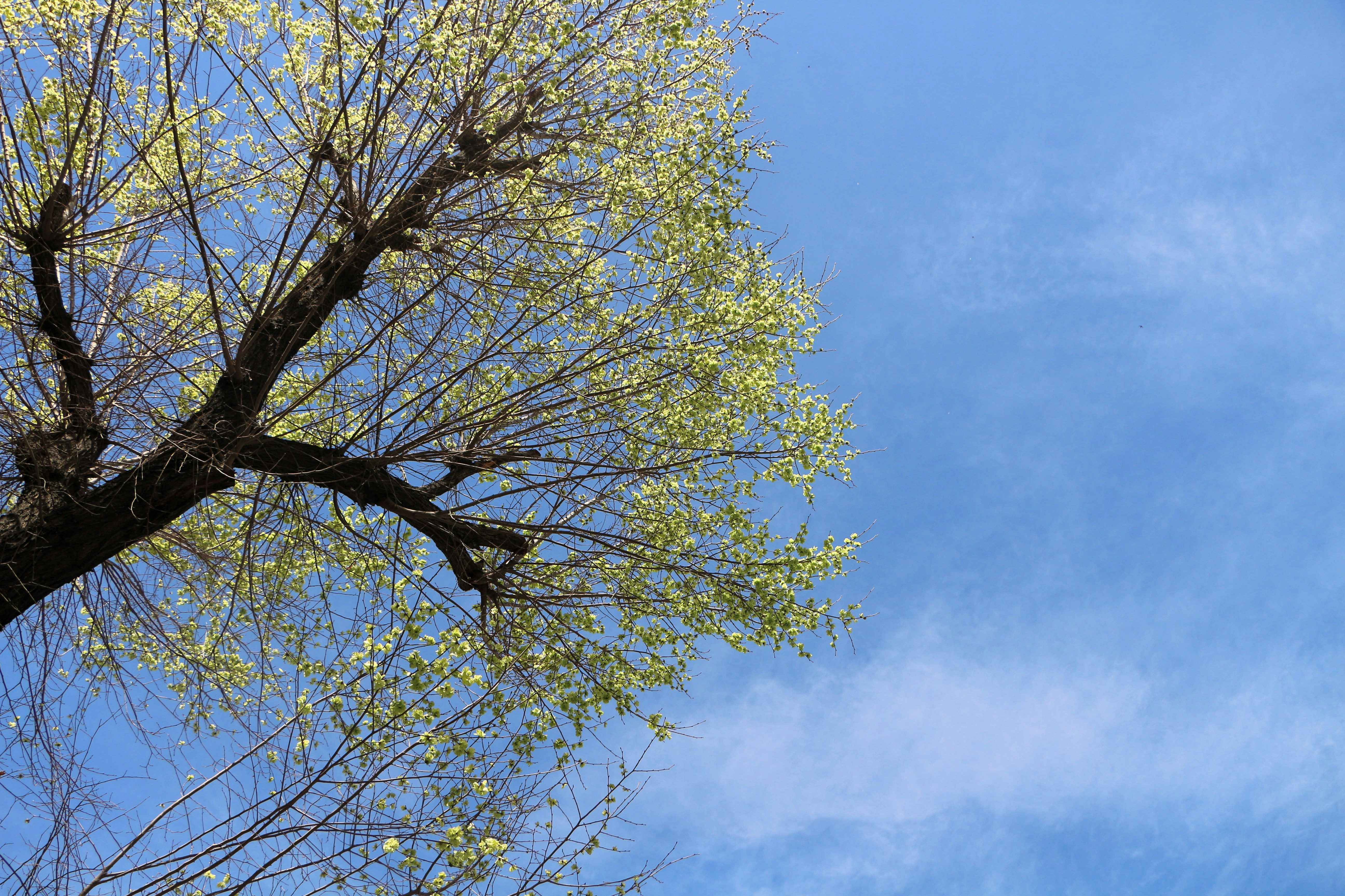 Photo by sara_pashakhanlou