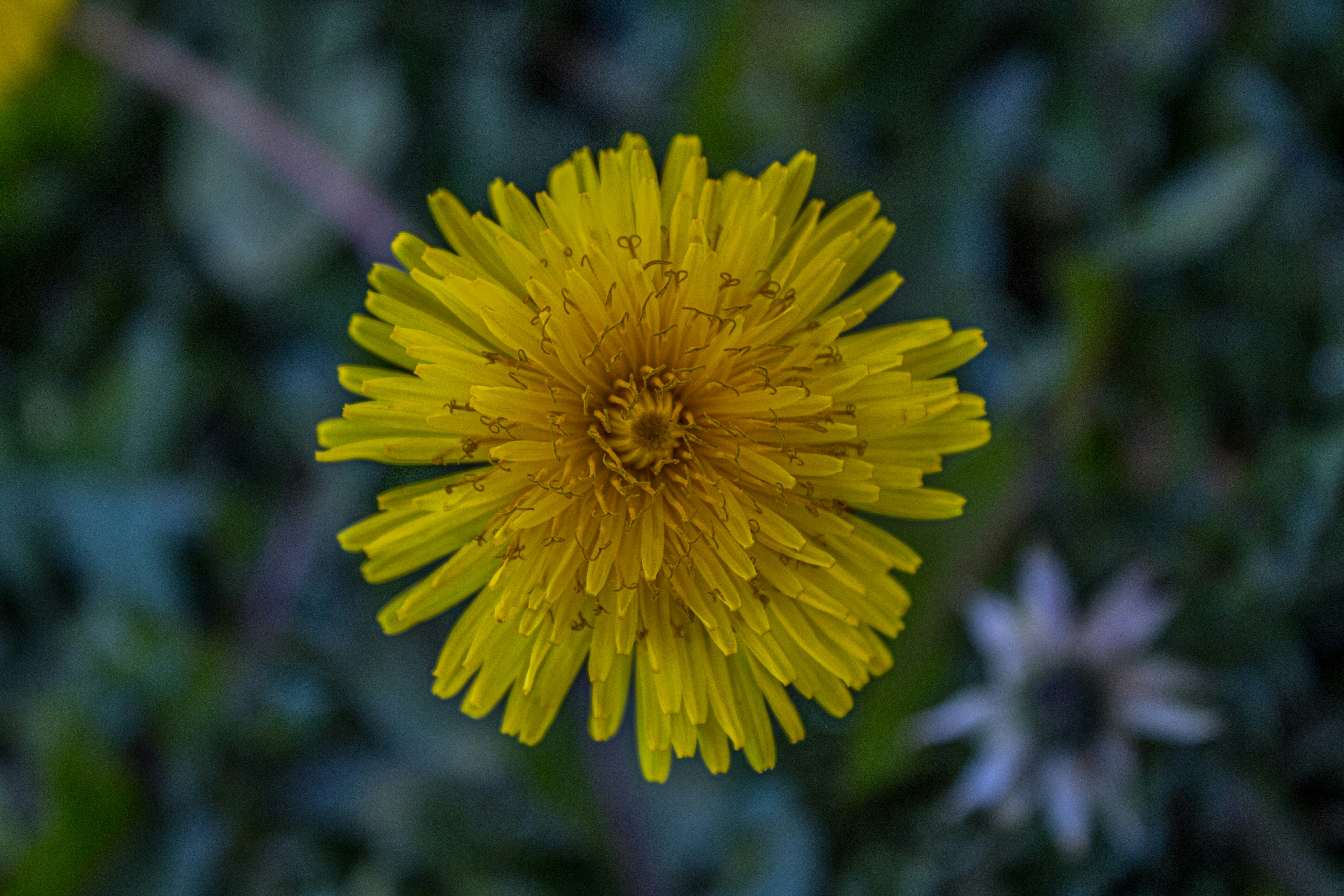 Photo by prphotography262