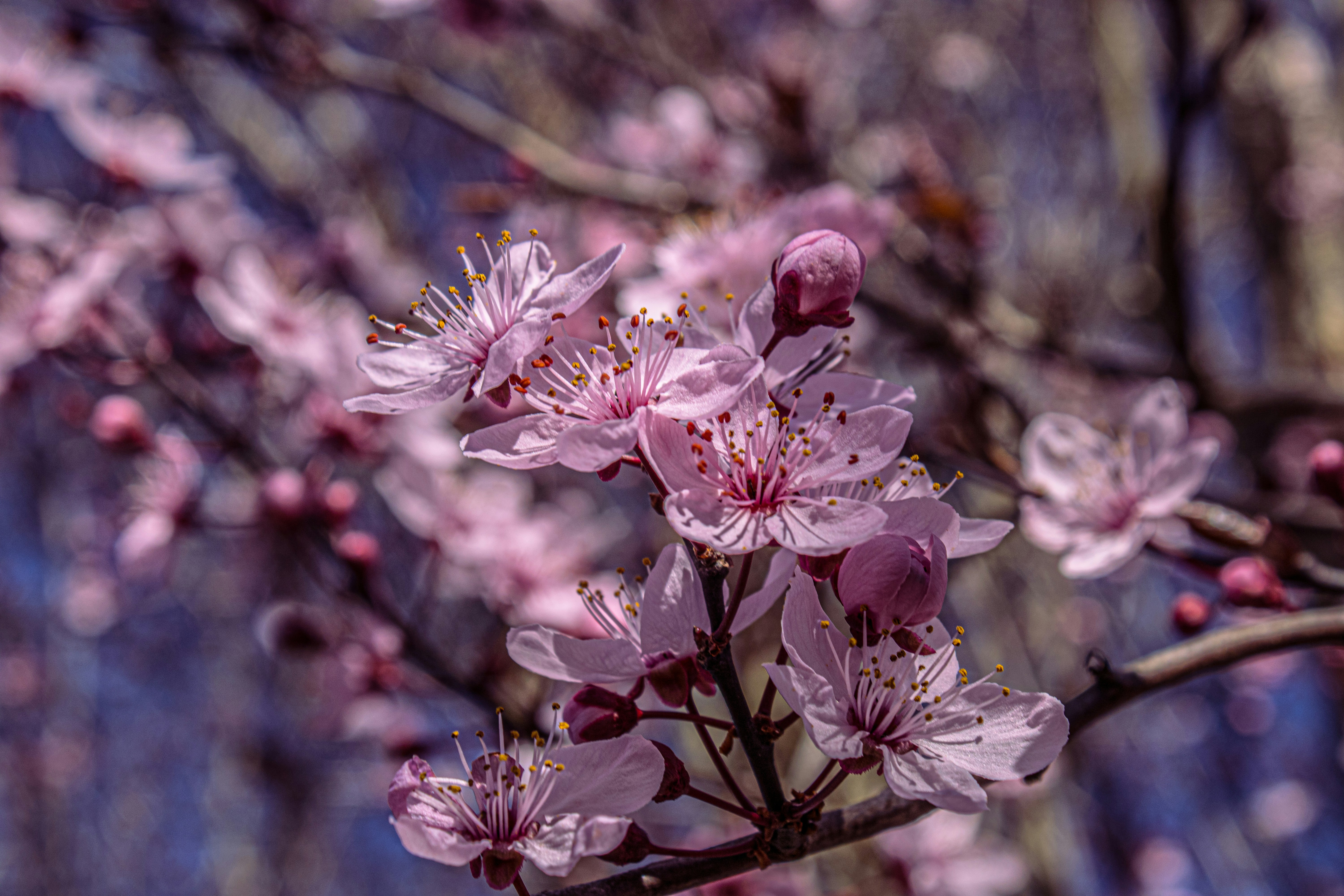 Photo by prphotography262