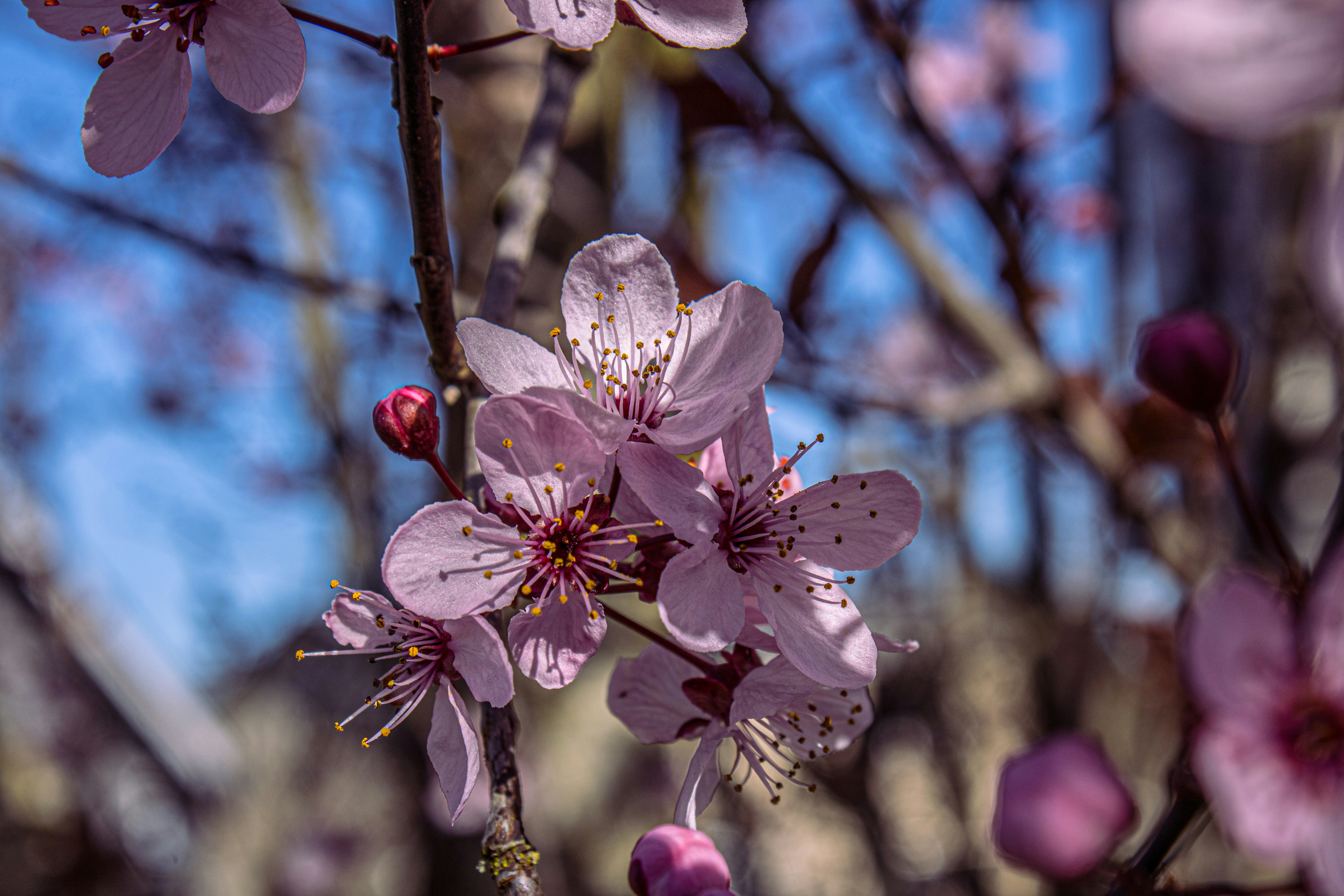 Photo by prphotography262