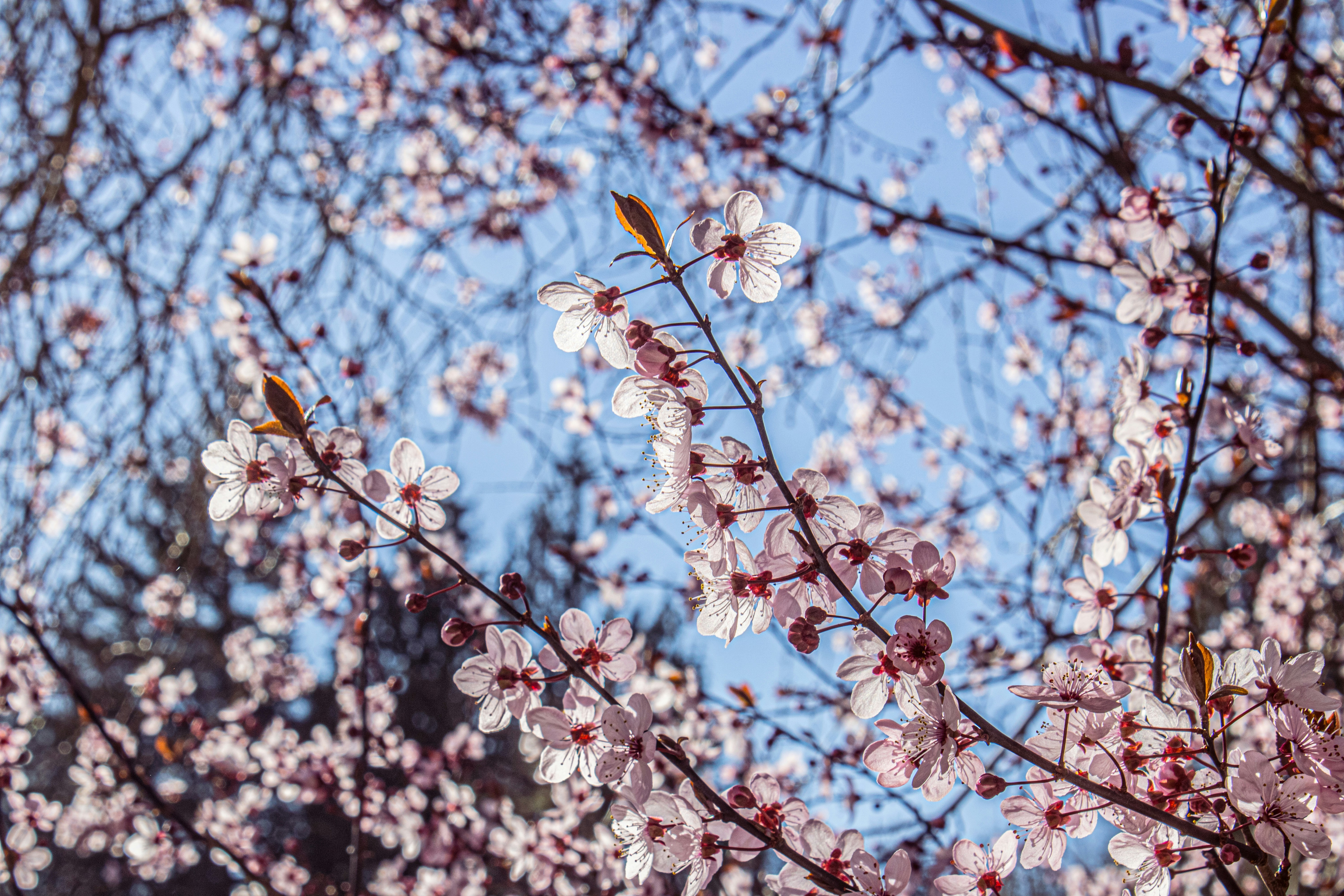 Photo by prphotography262