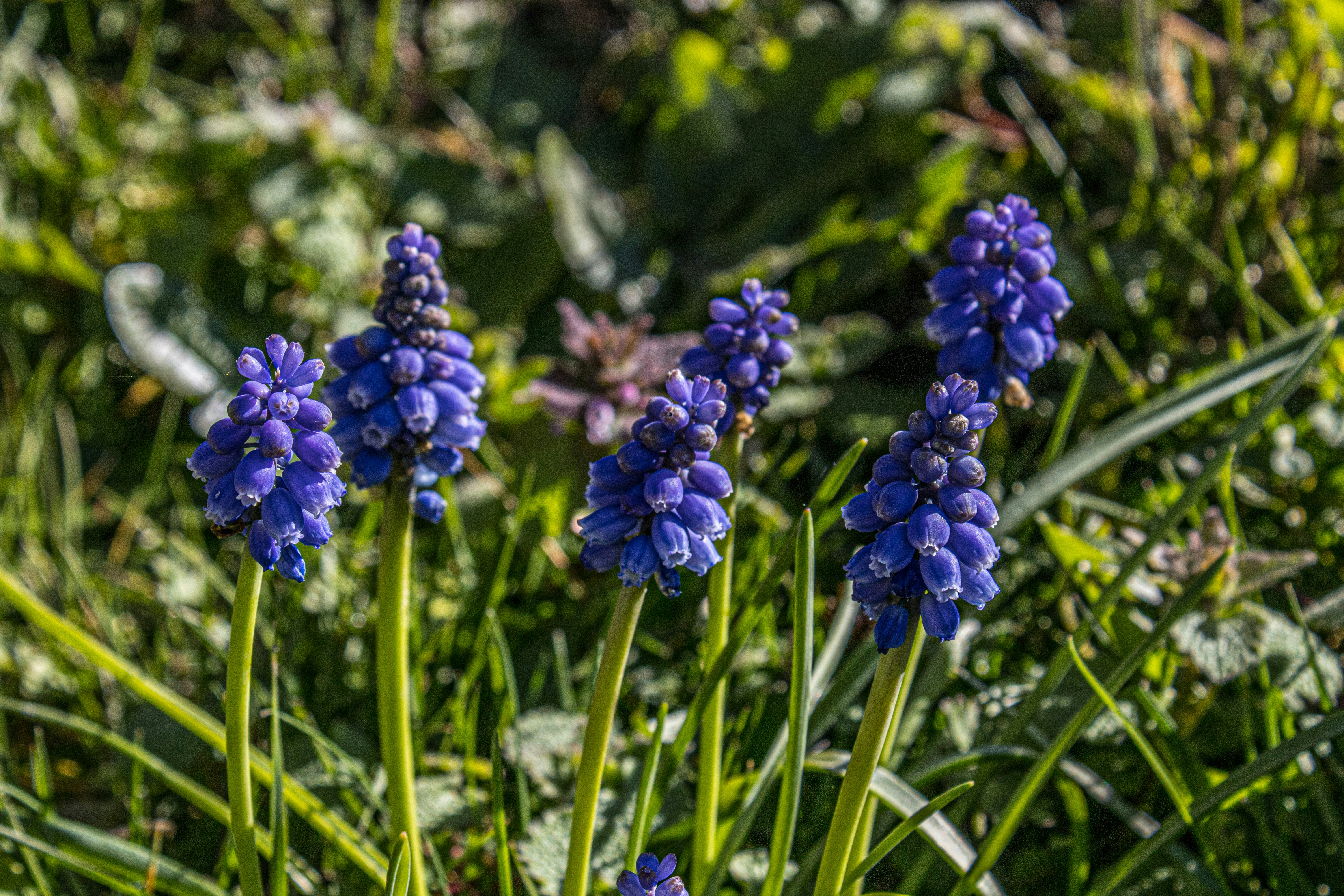 Photo by prphotography262