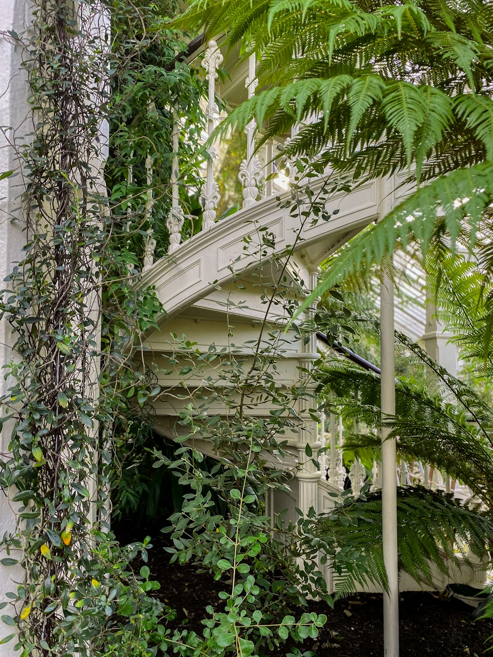 a spiral staircase surrounded by greenery in a building