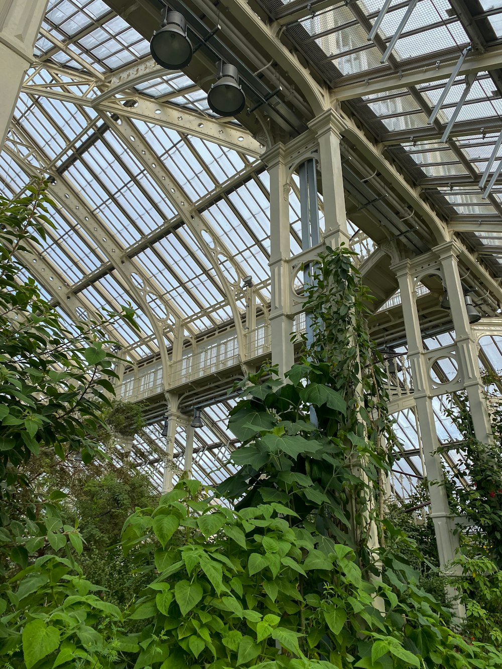 a building with a bunch of plants growing inside of it