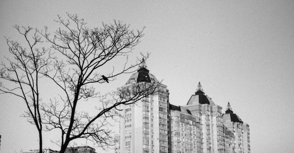 a black and white photo of a tall building