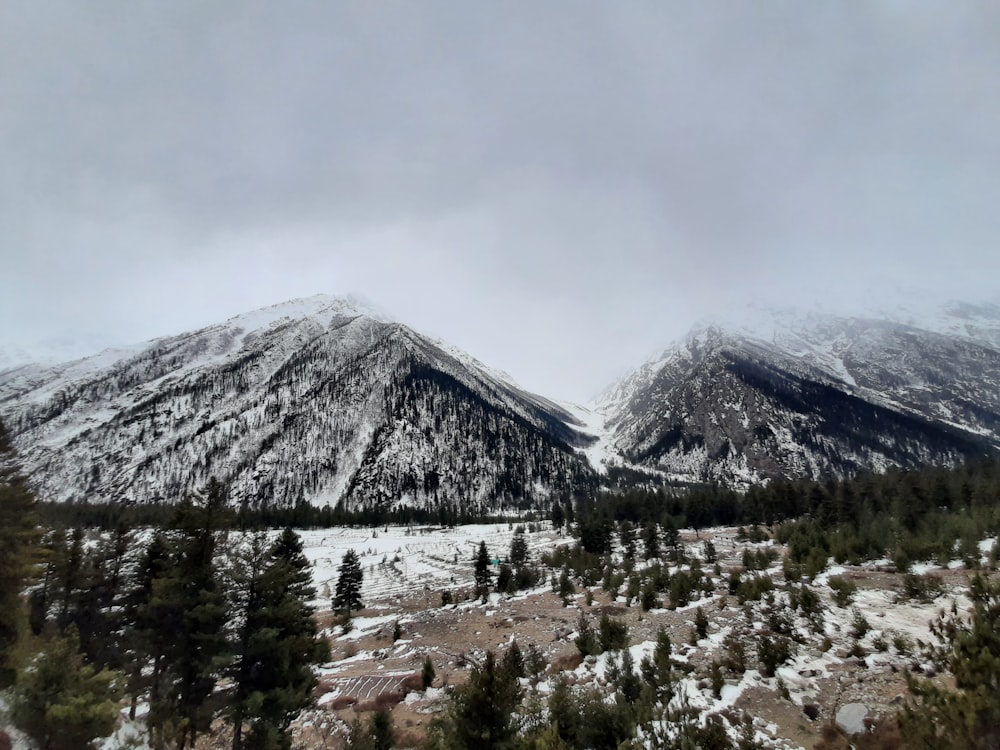 a snow covered mountain range with trees in the foreground