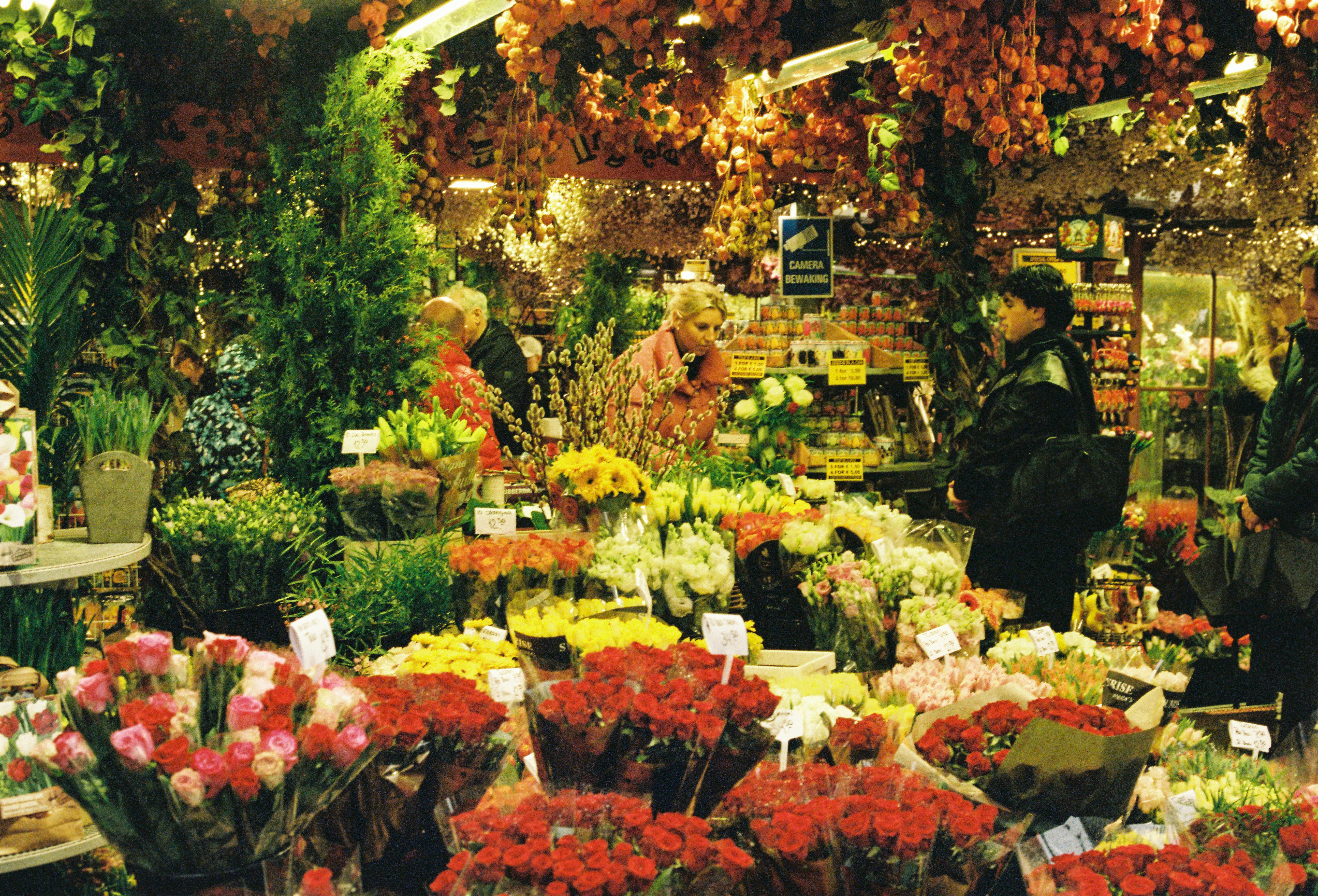 Mille Fleurs