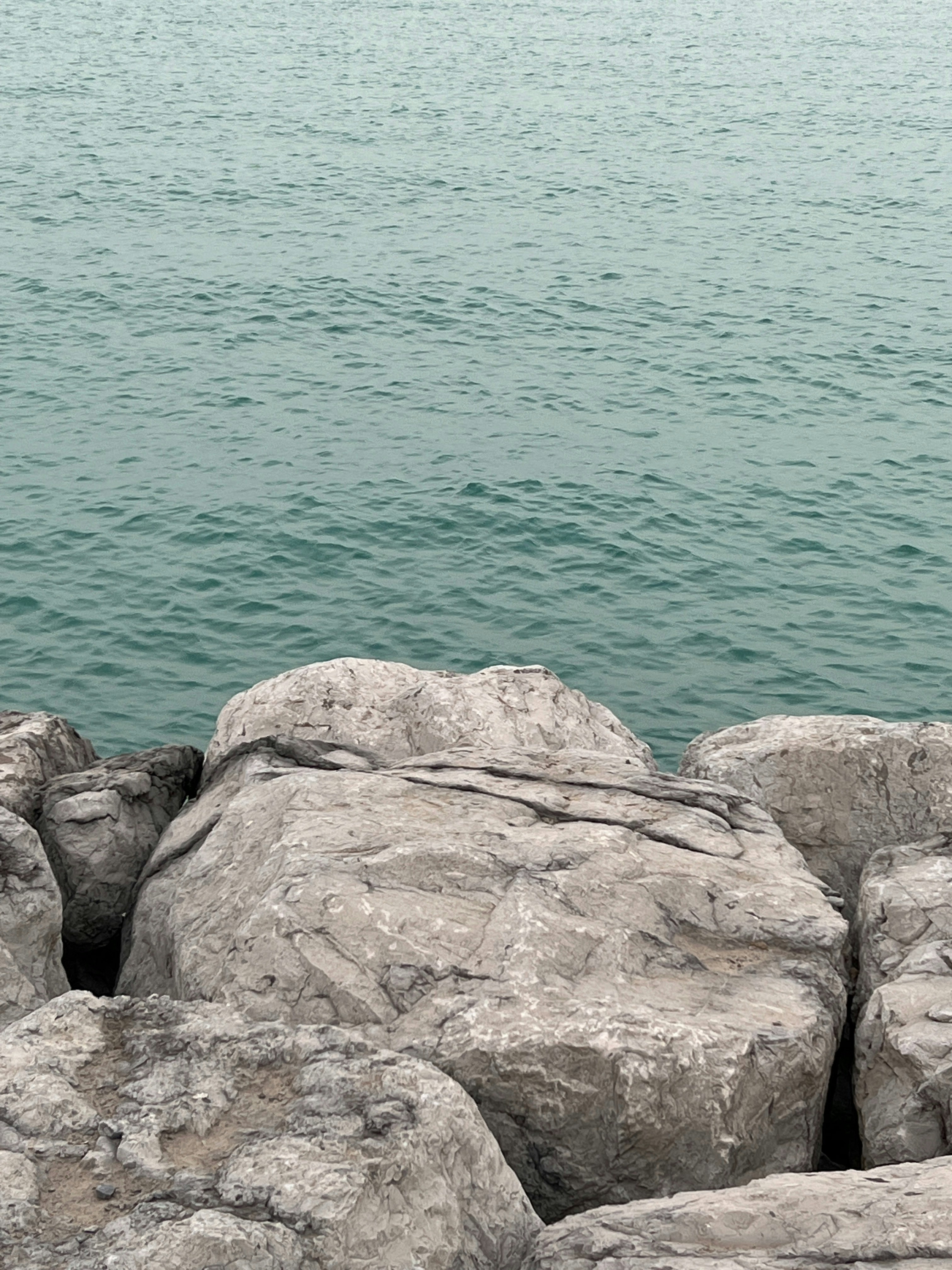 Photo by wald_creations