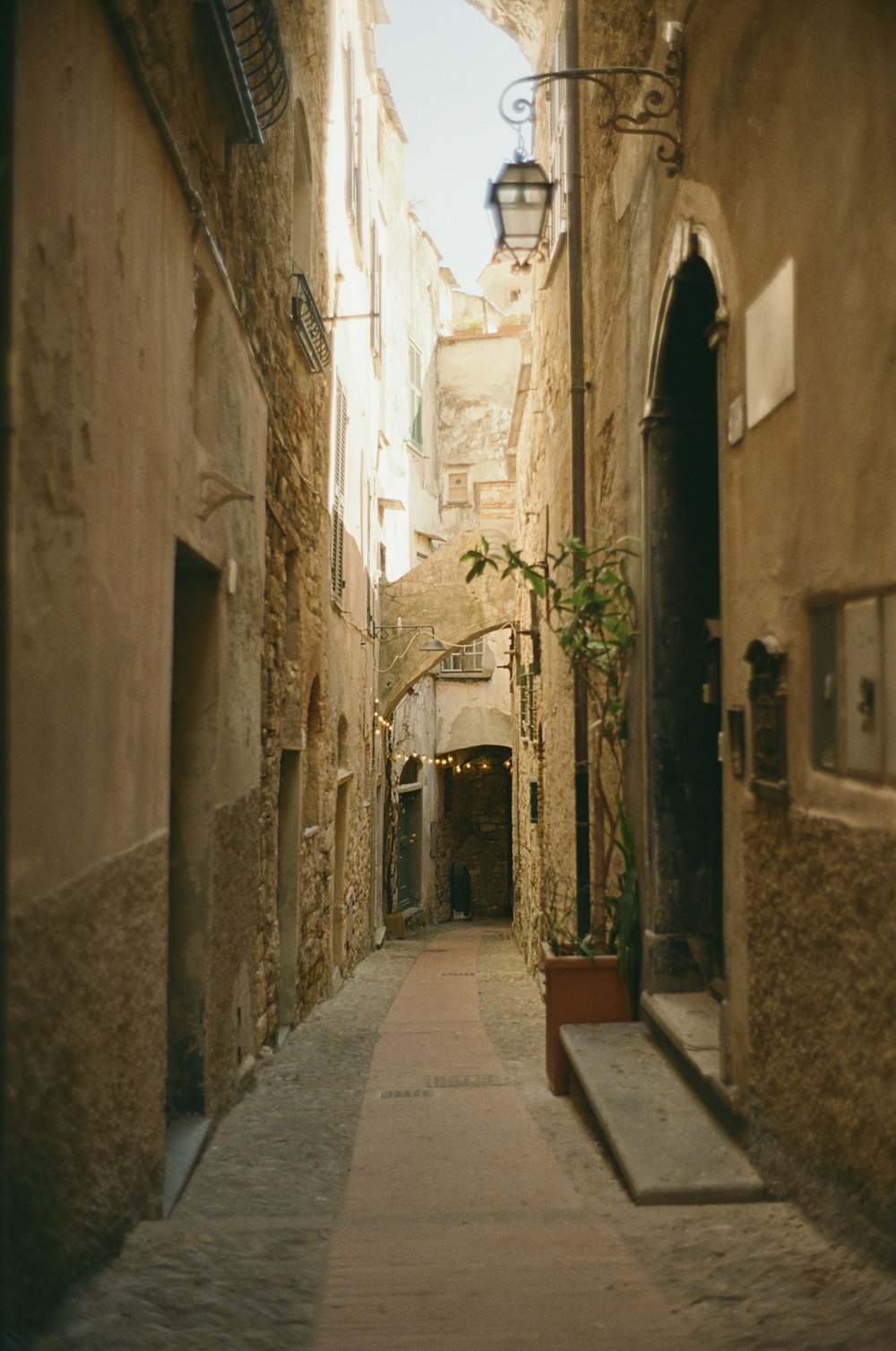 a narrow alley way with a potted plant in the middle