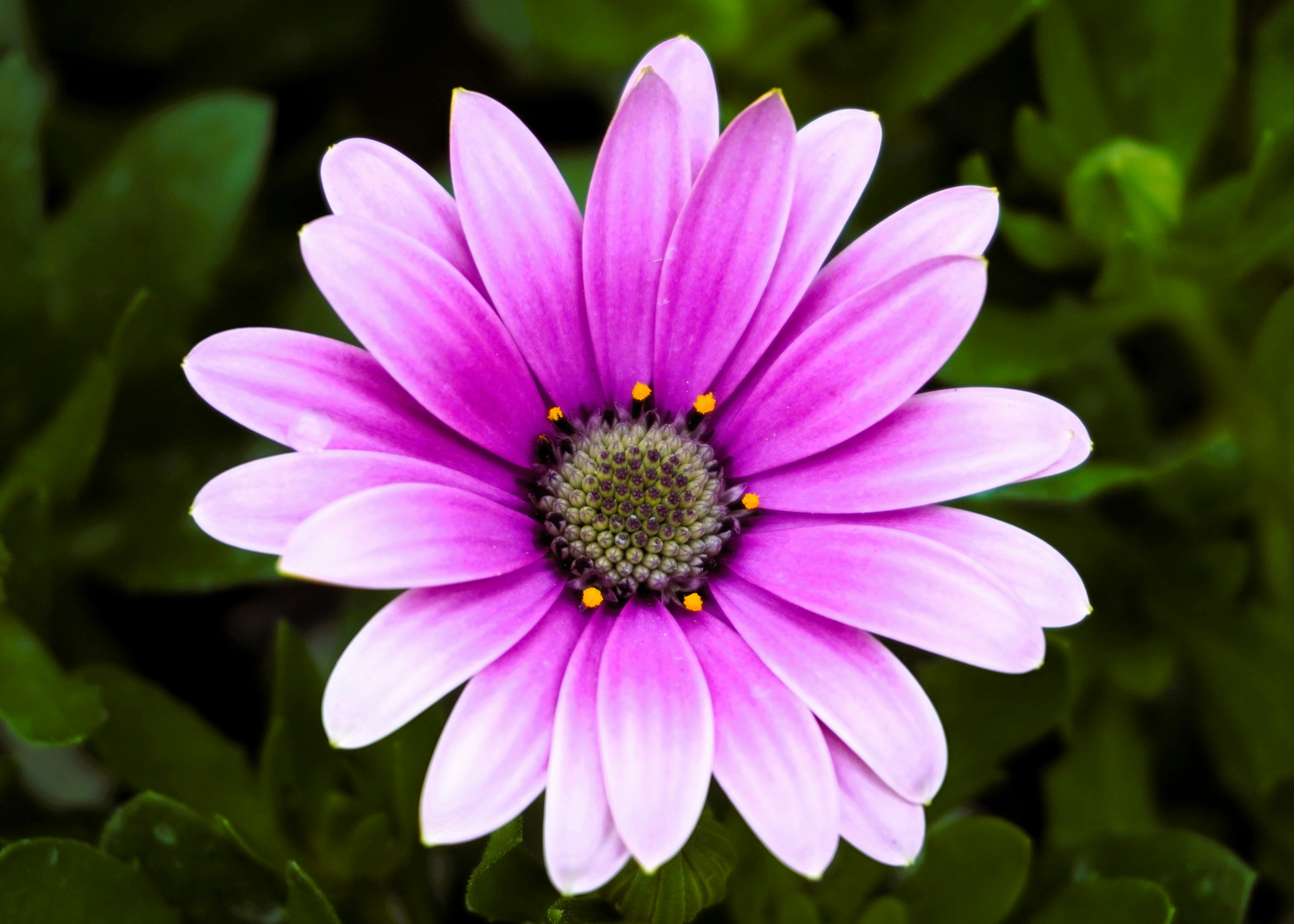 Albuquerque cityscape