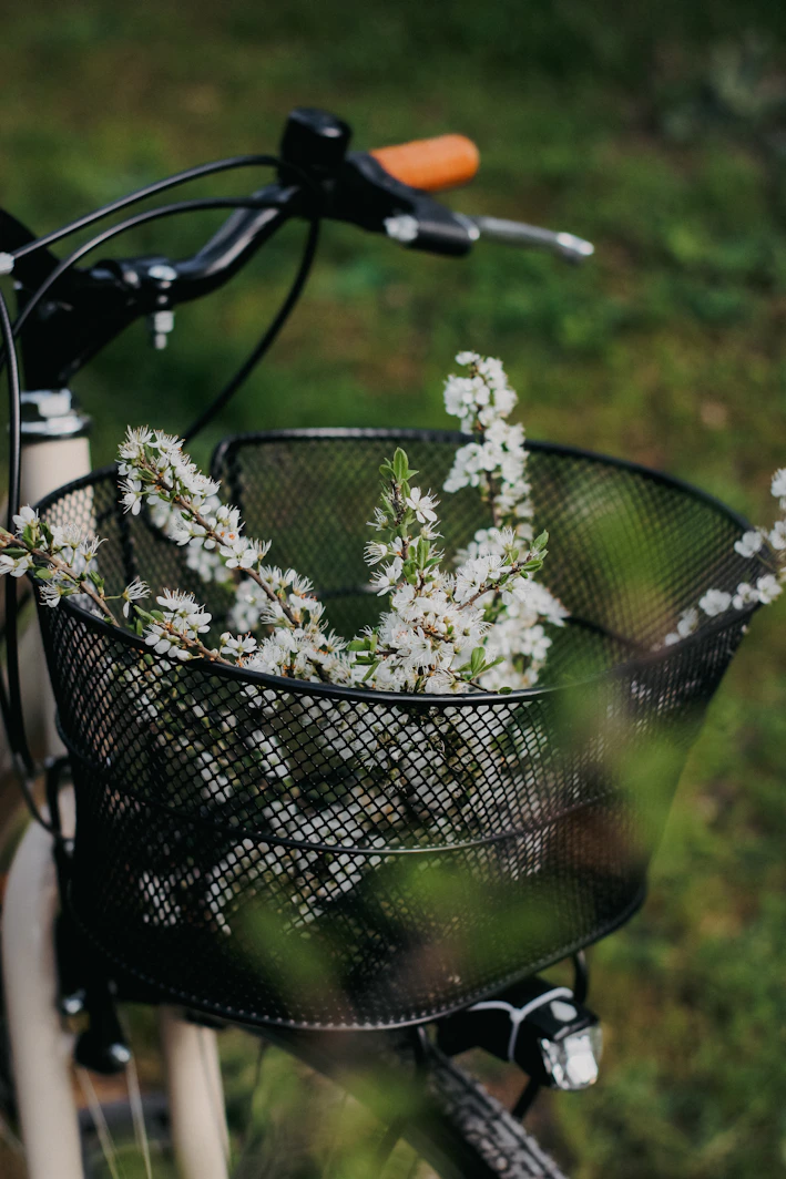 a bicycle with a basket full of flowers