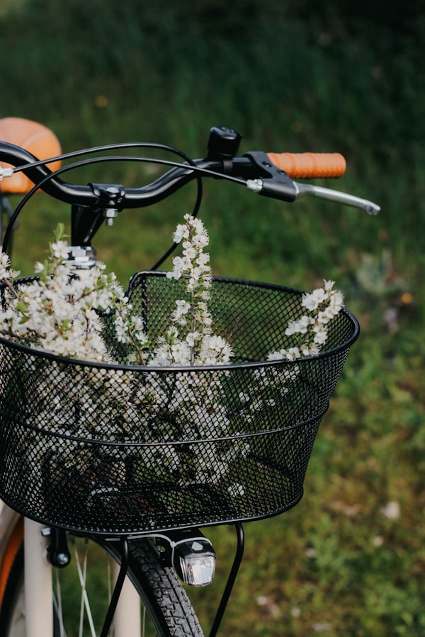 Blumenkorb auf einem Fahrrad im Freien