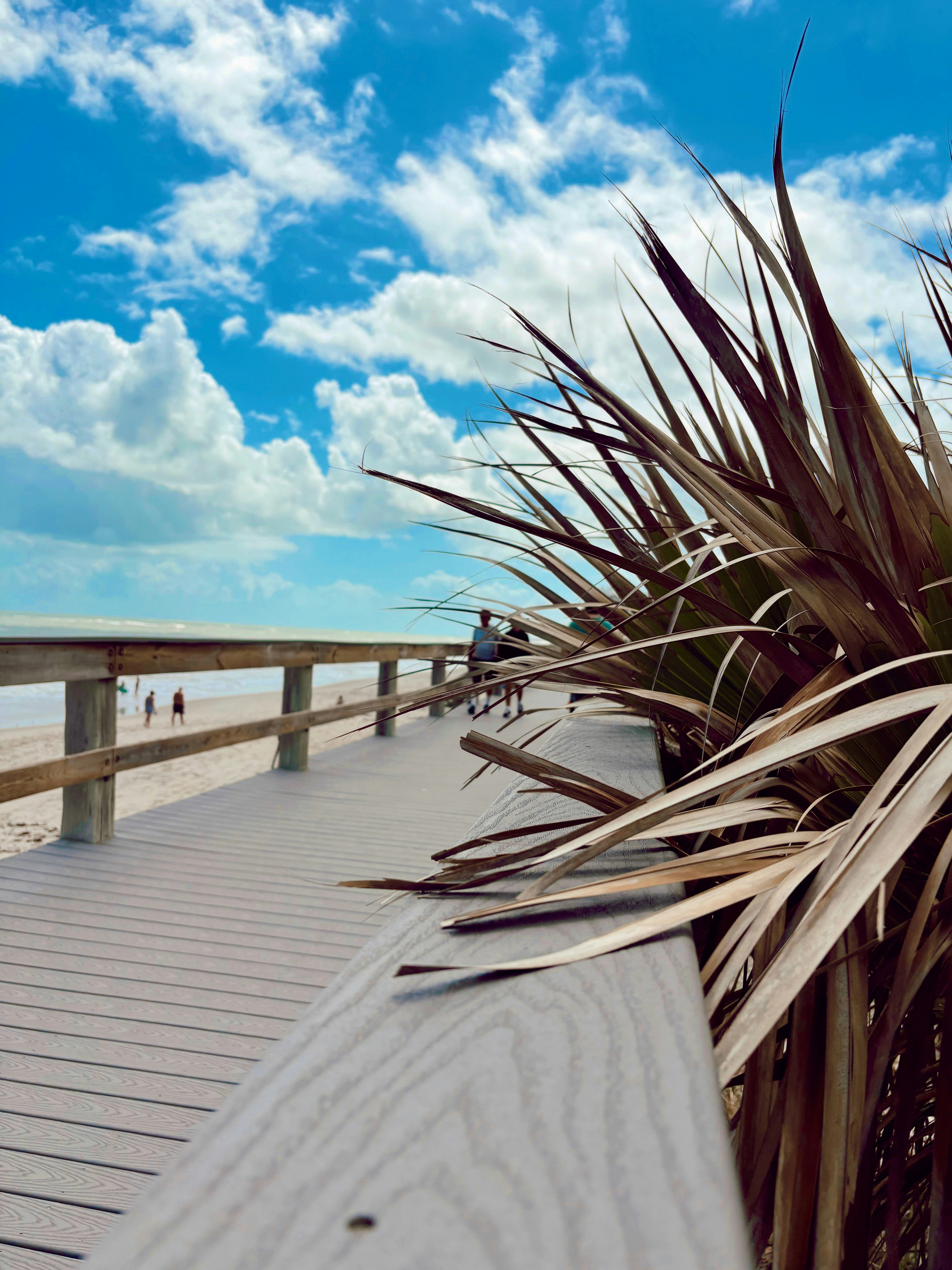人々が歩くビーチに通じる木製の歩道