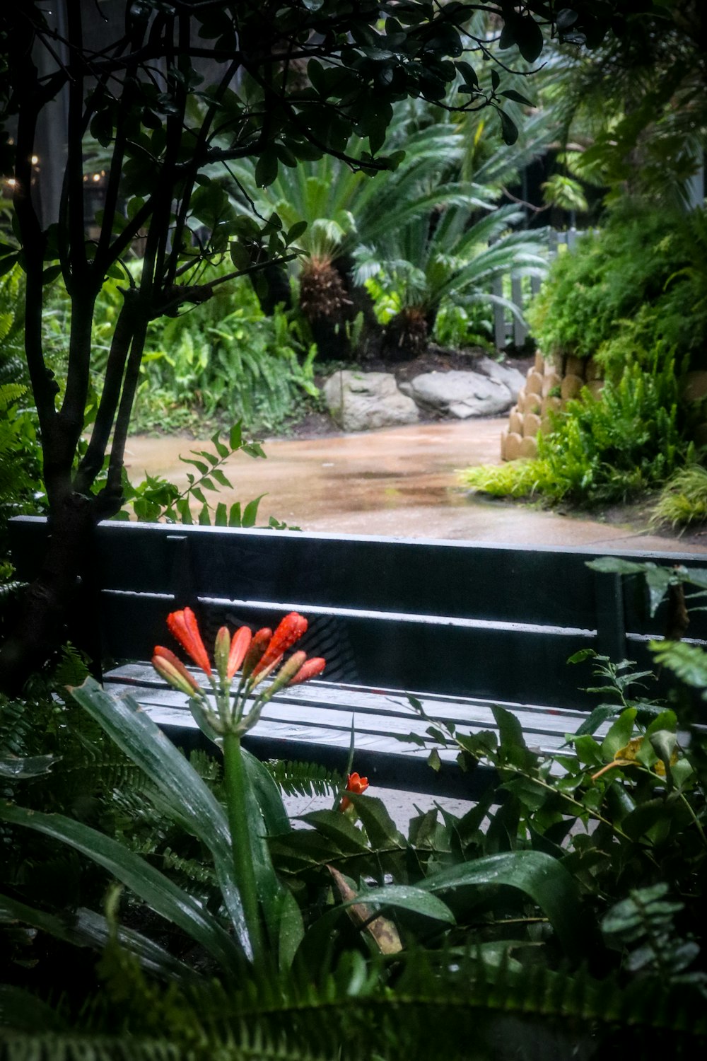 a red flower sitting on top of a wooden bench