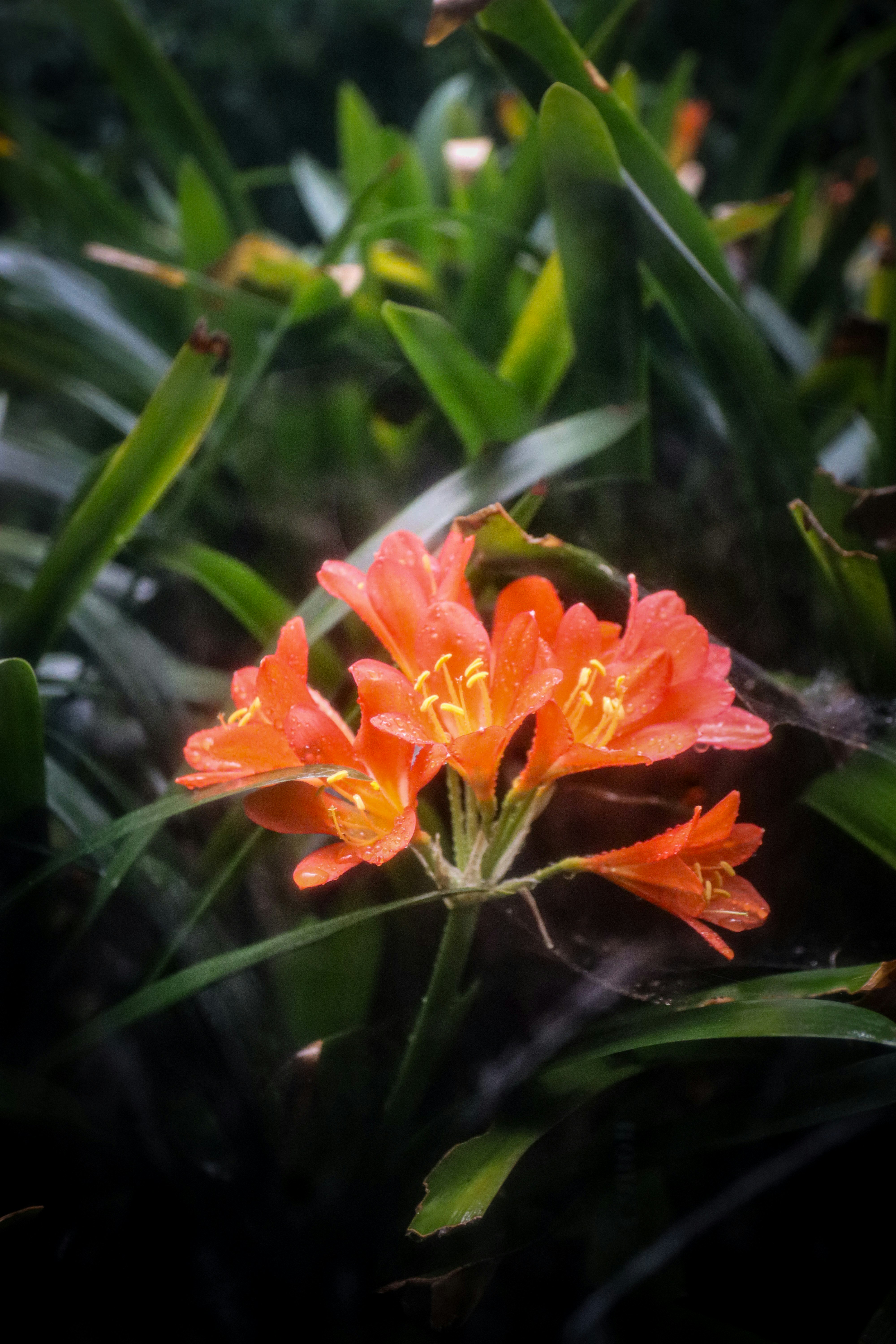 Photo by ant626