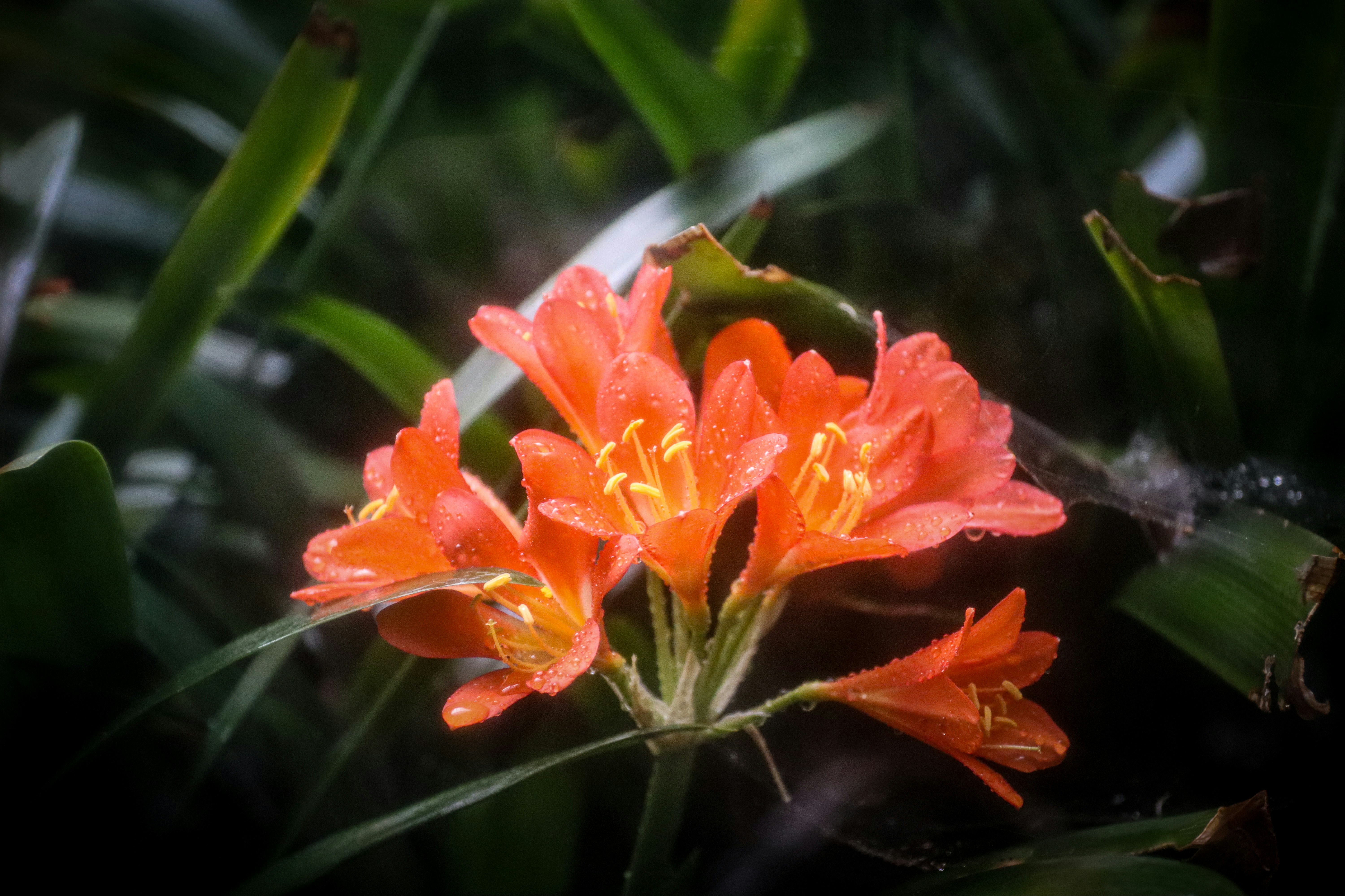 Photo by ant626