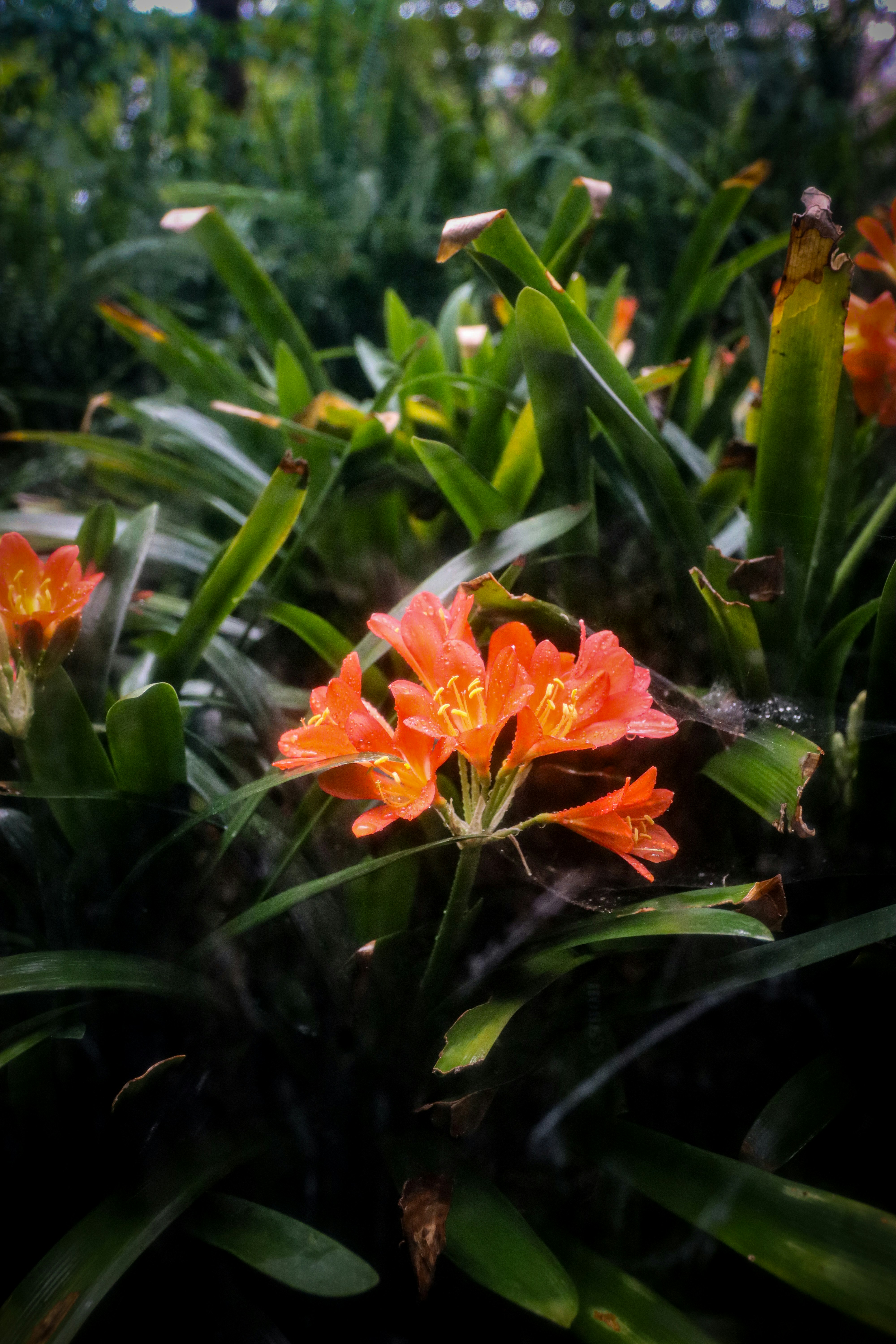 Photo by ant626