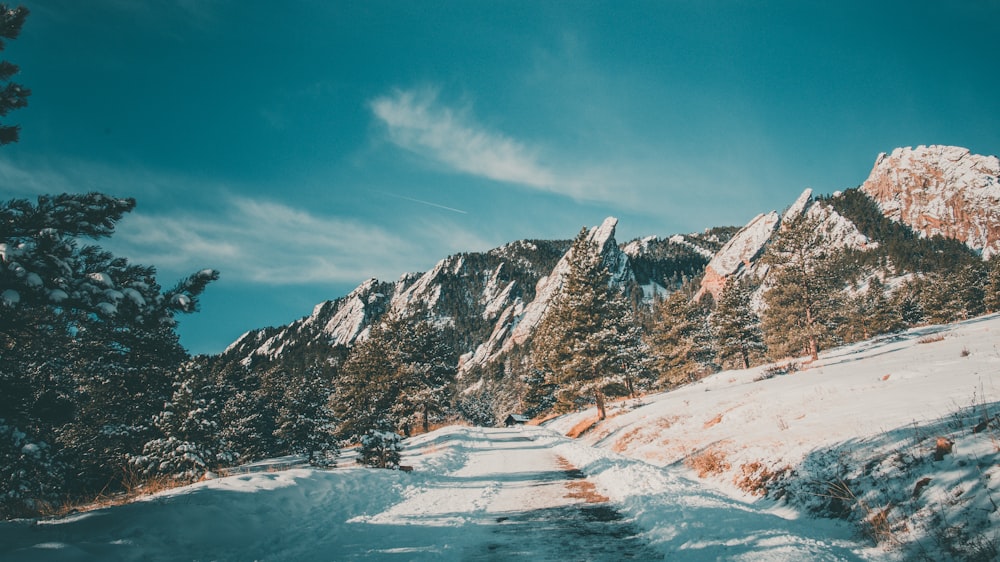 a snow covered path leading to a mountain range