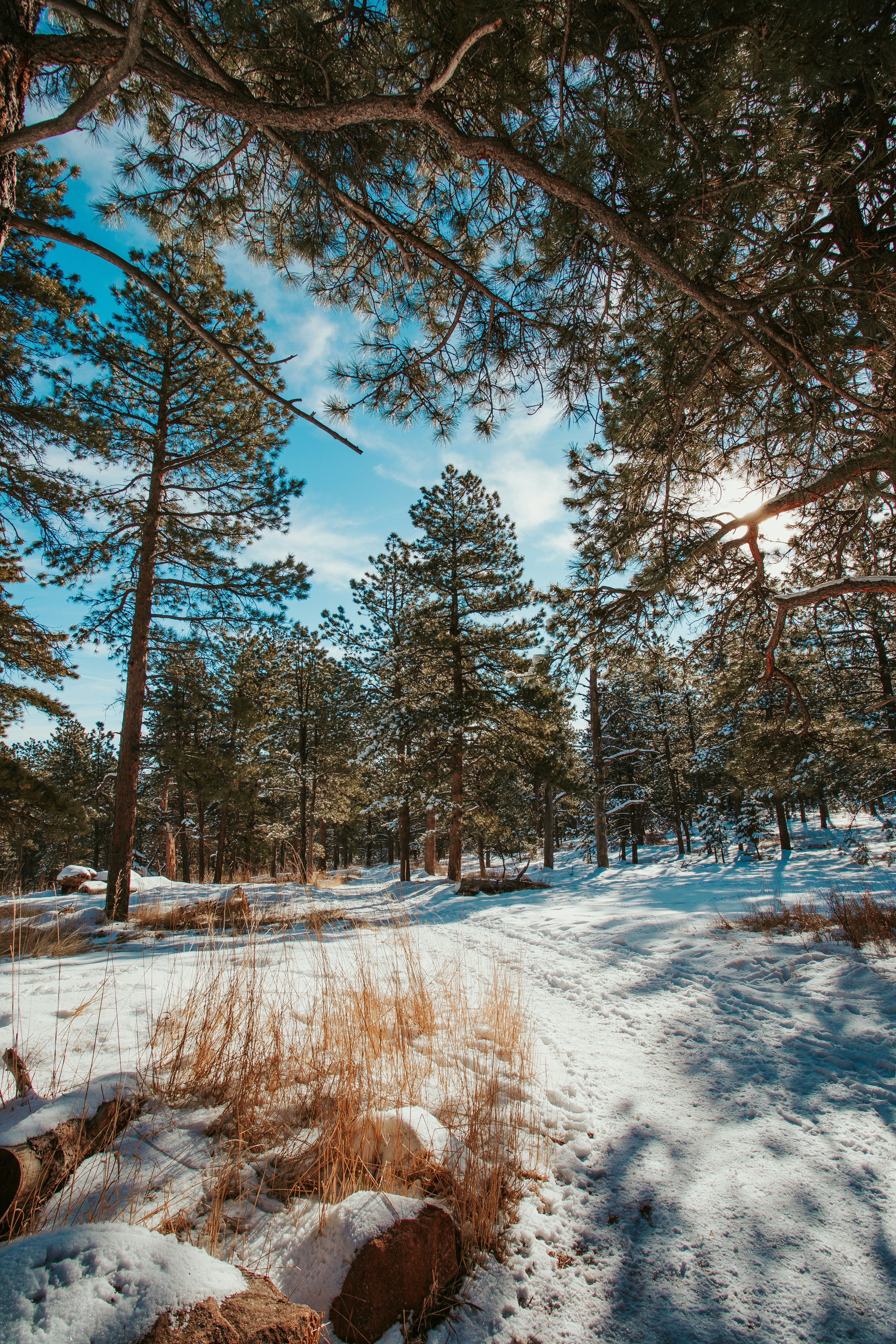 Photo by photosoflogan