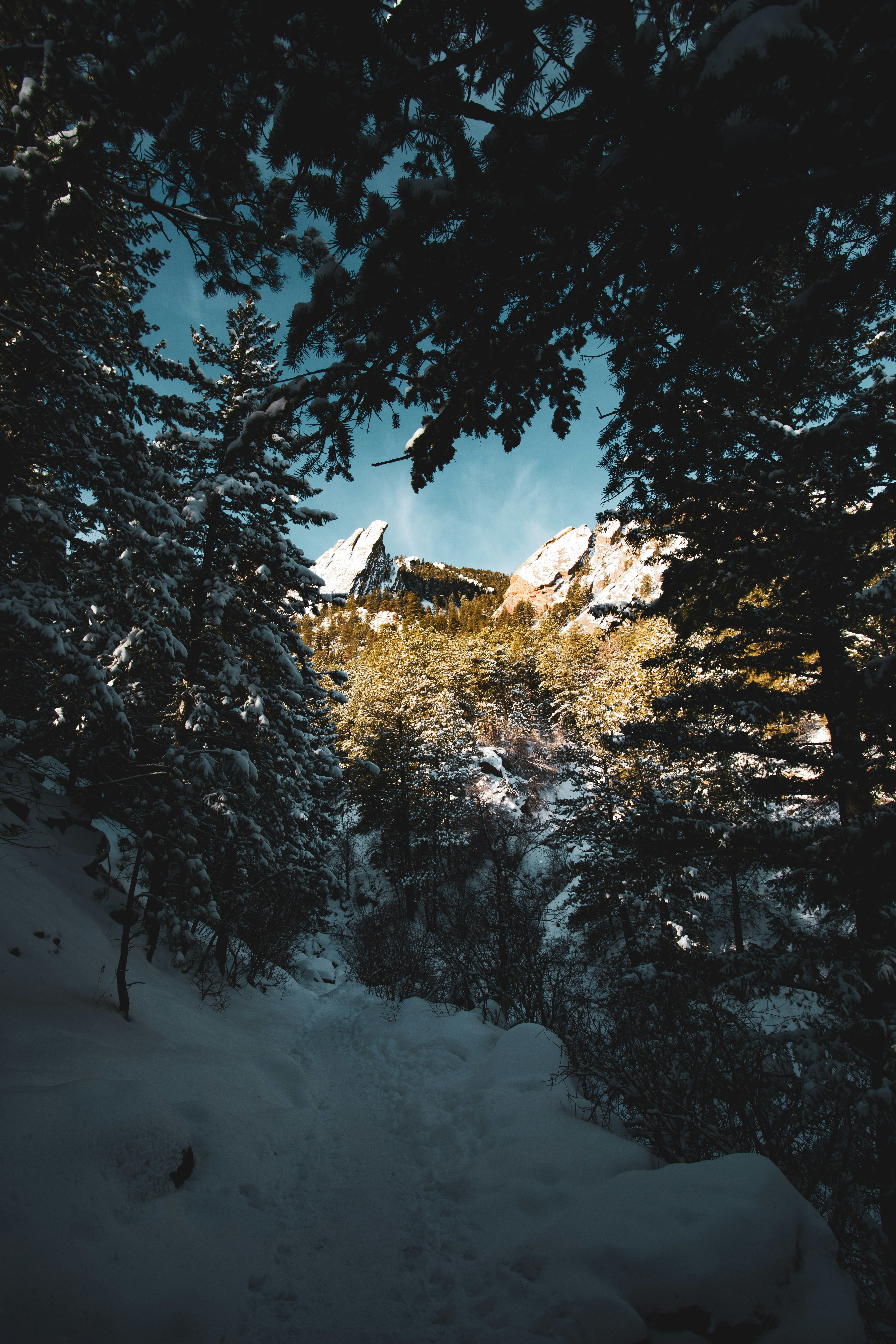 Photo by photosoflogan