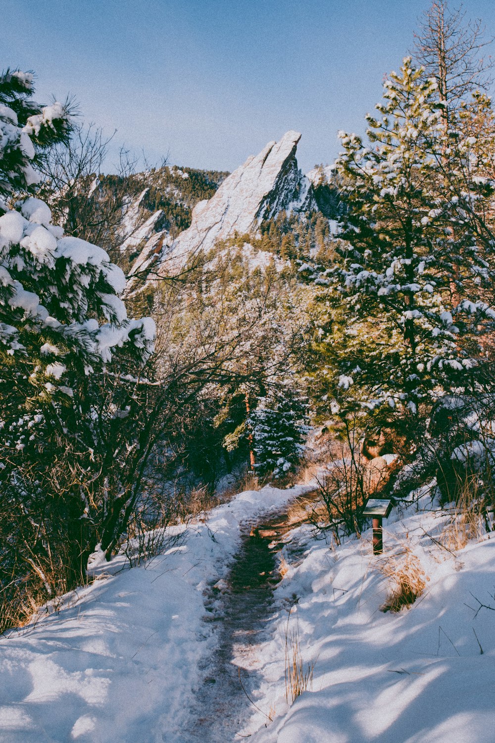 a path in the snow leading to a mountain