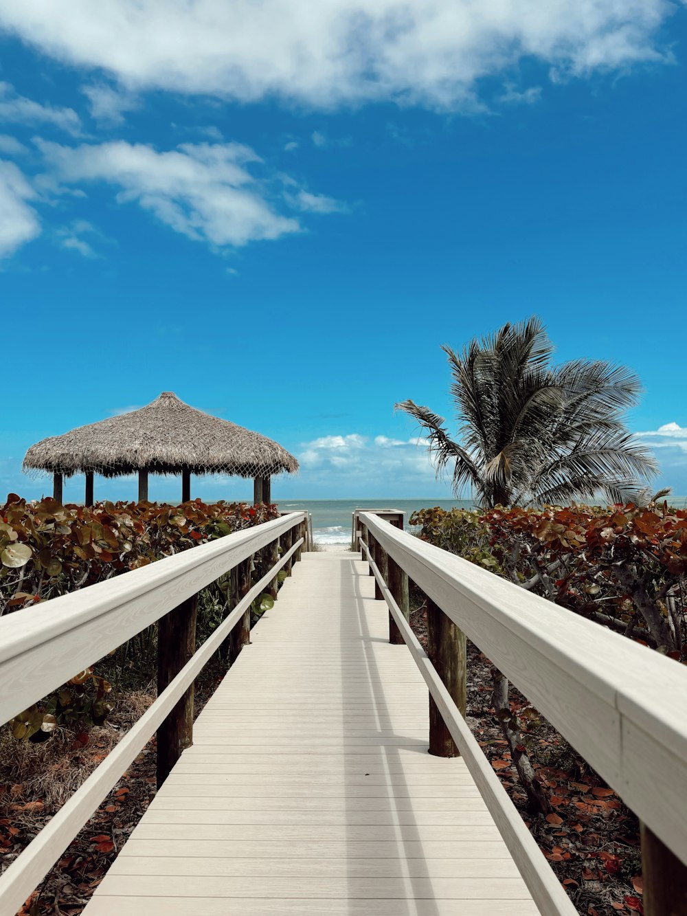 a walkway leading to a beach with a thatched roof