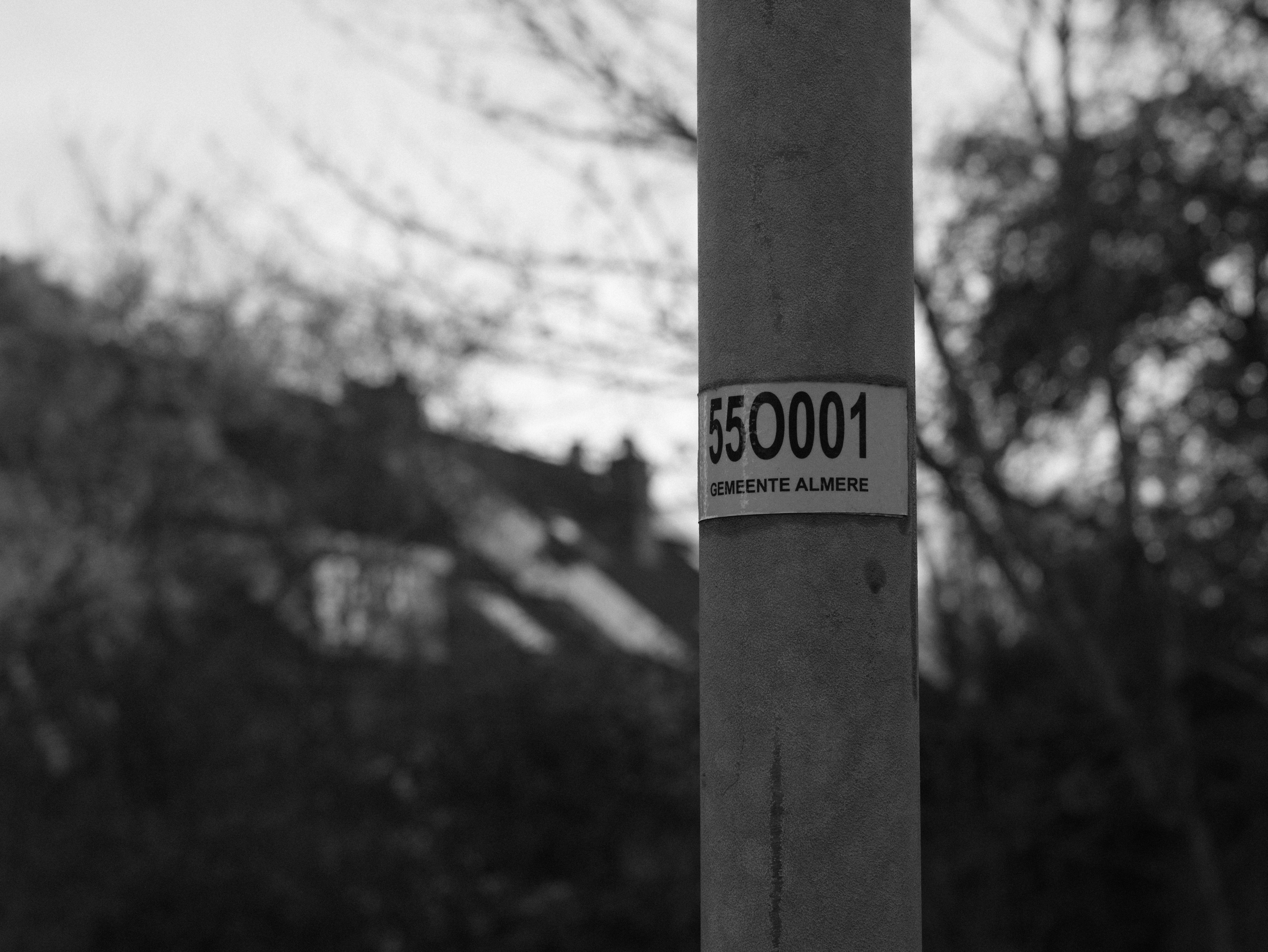 photo-1711303622990-fe0709e6326c?ixid=M3